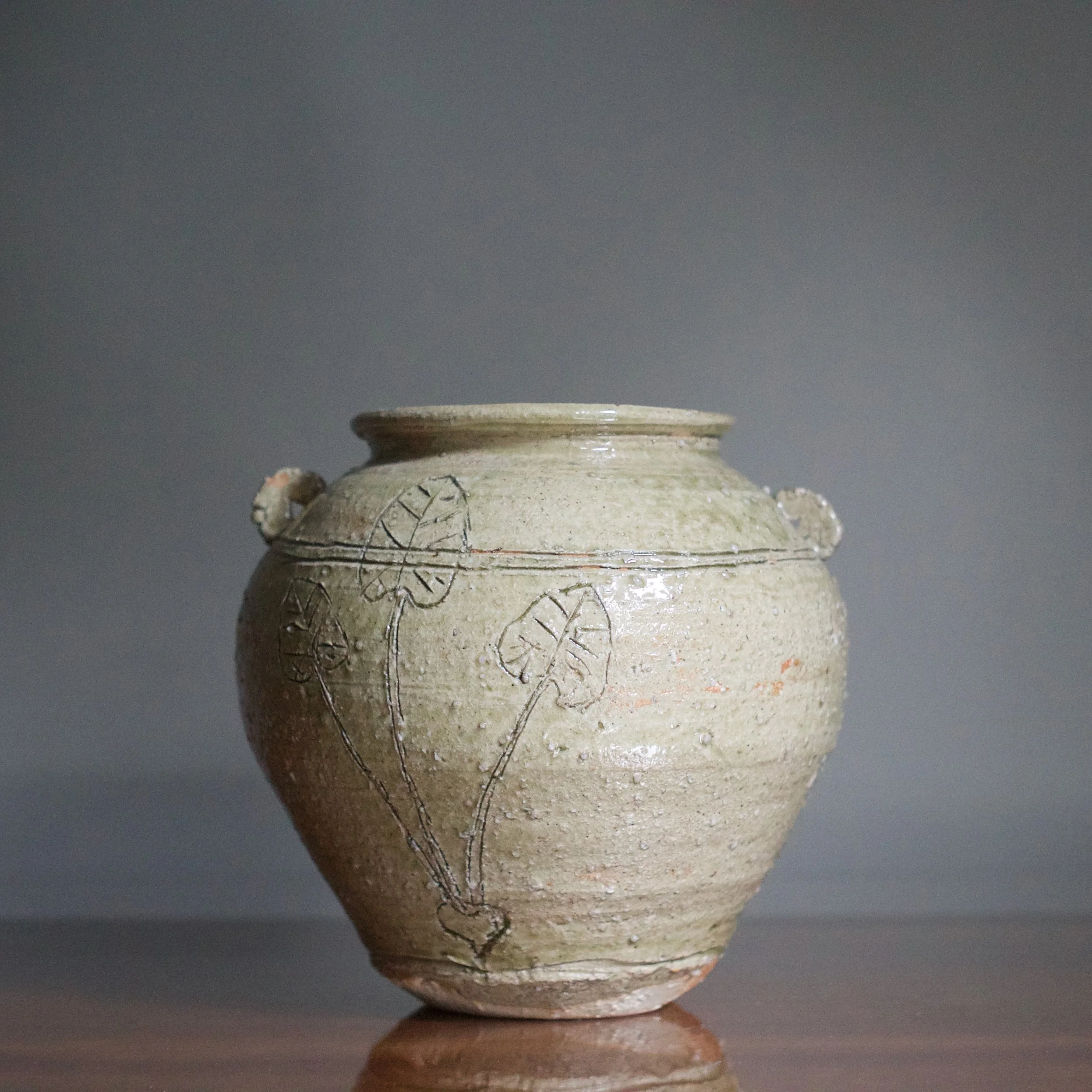 Glenn Lewis ash-glazed lugged jar