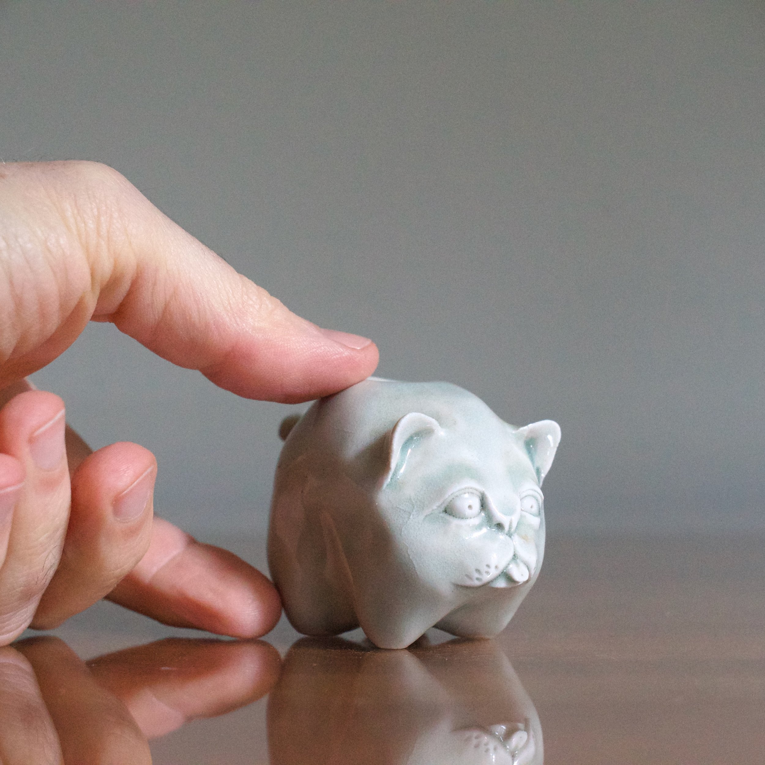 Tasuku Mitsufuji cat water dropper 1