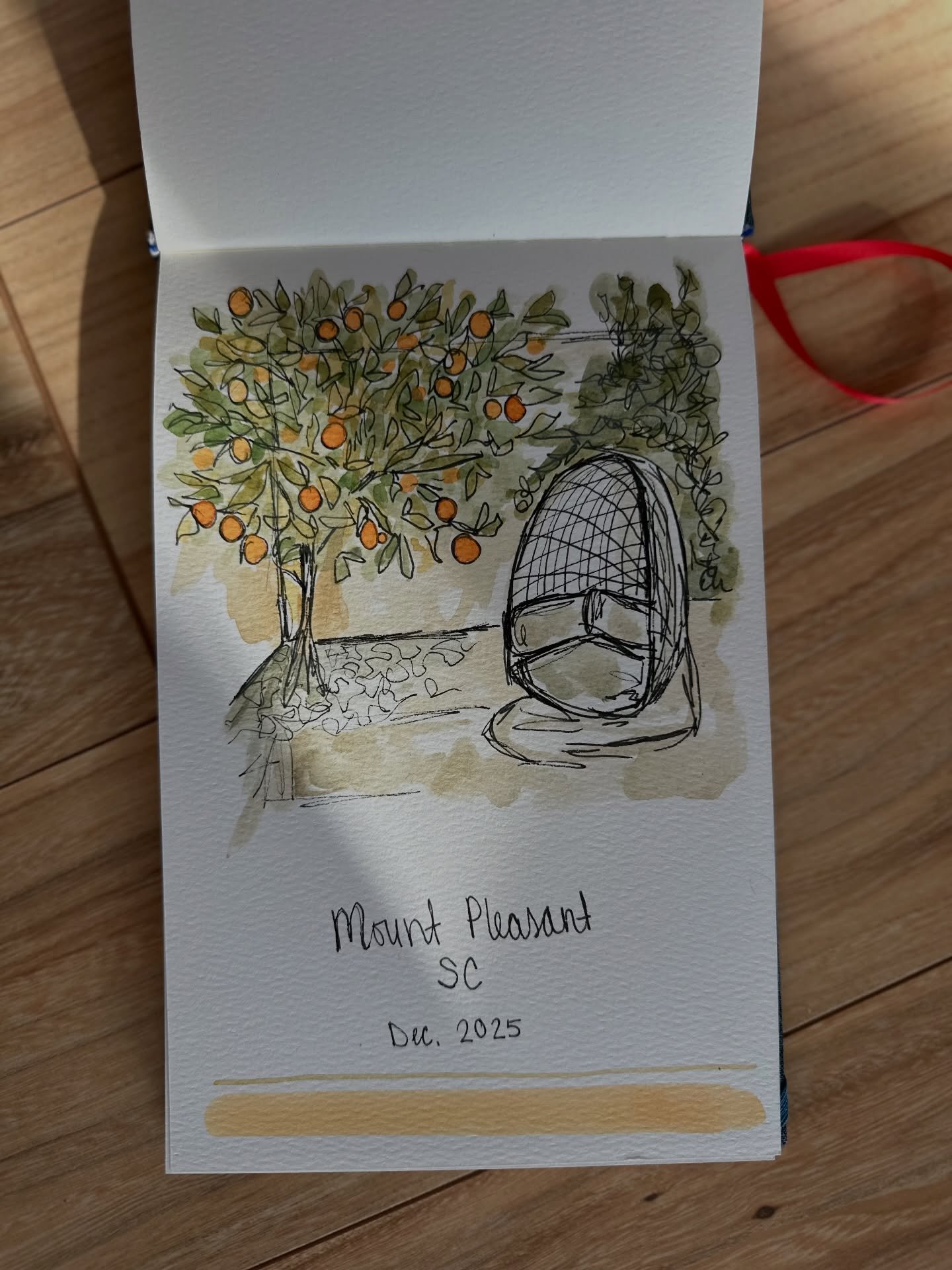 Sketchbook page from a sunny December day 🍊