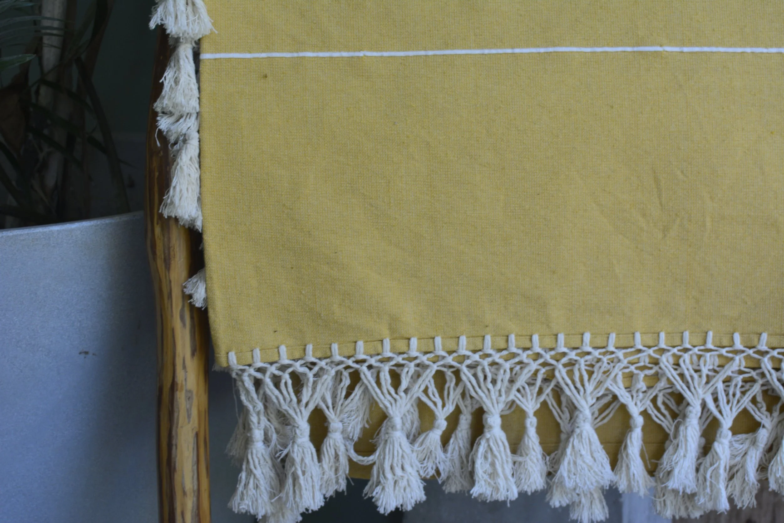 Colchitas Oaxaqueñas