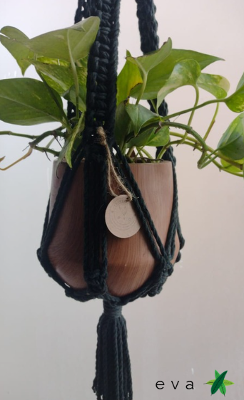 Captura de pantalla 2025-10-07 185533.png