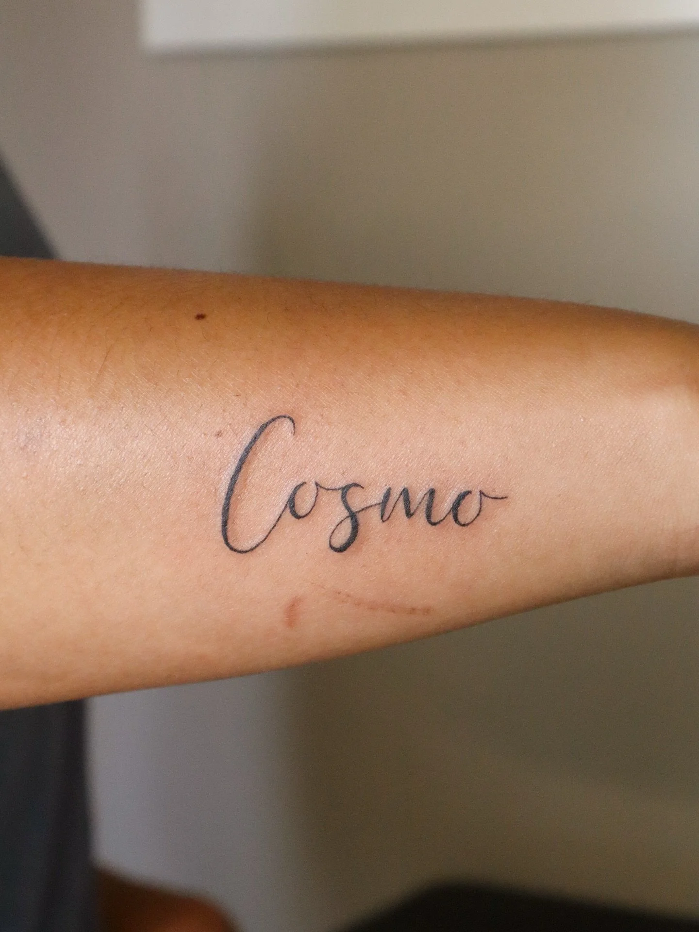 Tattoo Dump ~ 🐣 July Edition in WA ✨
Thank you so much to everyone who booked with me this July! It was so nice meeting you all, and I really appreciate the trust. It feels good to be back in the flow of tattooing and getting in the zone again!

I k