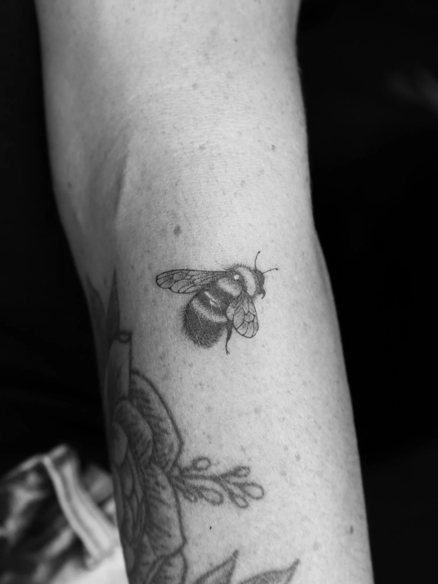 When the universe writes the perfect chapter 🌿📖✨ The day she got her tattoo, the book she was reading introduced the main character as &lsquo;Elentiya&rsquo; like it was meant to be.

🐝💛 Bonus: her love for bees, and her work-bestie got inked too