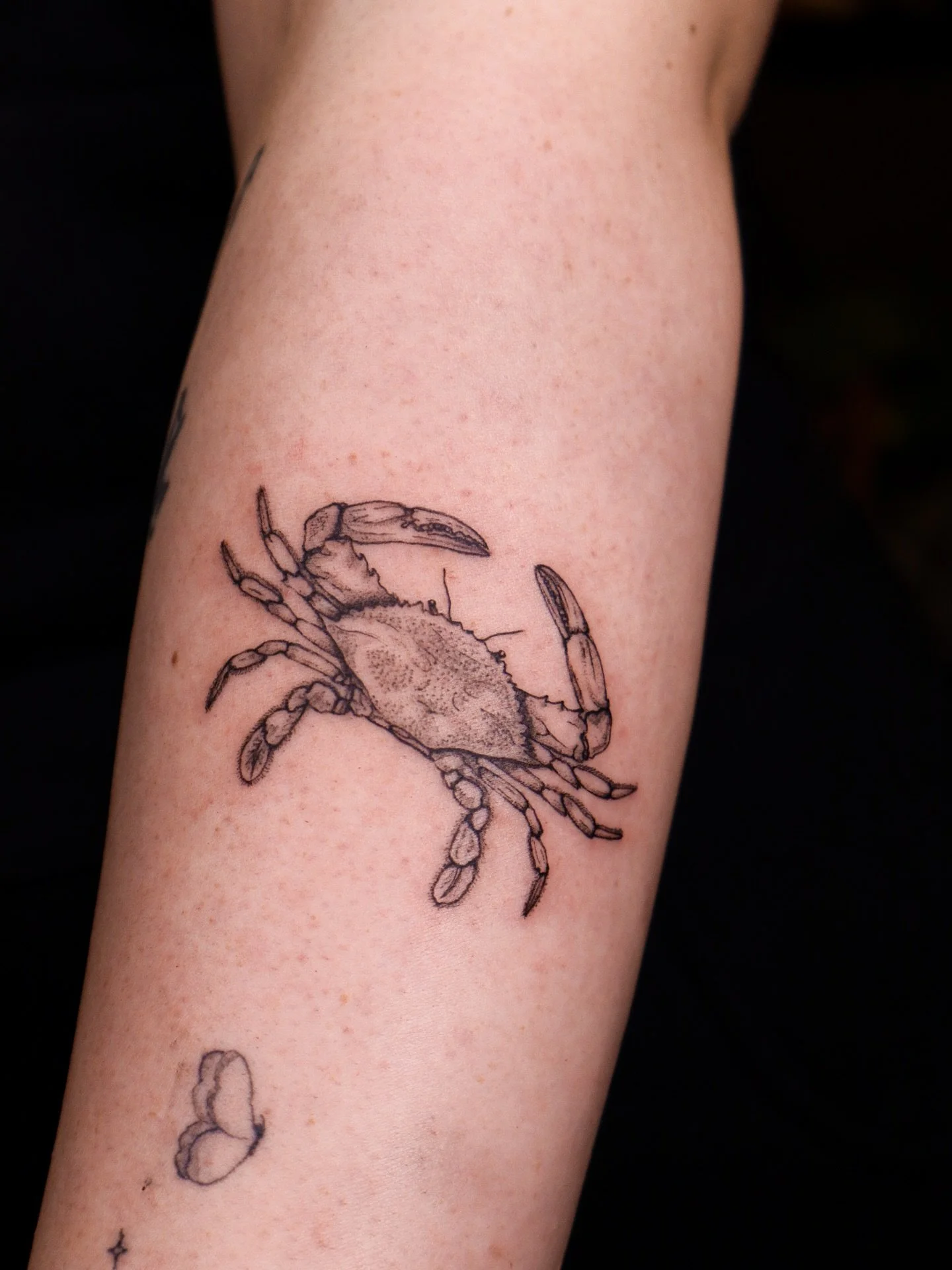 Crab for Caileigh ~ 🦀
Thank you so much for trusting me with this Sea Creatures / Ocean Theme promo piece 🫶🏼

(Some surrounding pieces are not my work!)

➻ ➻ ➻ ➻
✶ Done at Level Up Studio | 📍Tacoma, WA
✶ NOVEMBER &ndash; DECEMBER BOOKINGS ARE OPE