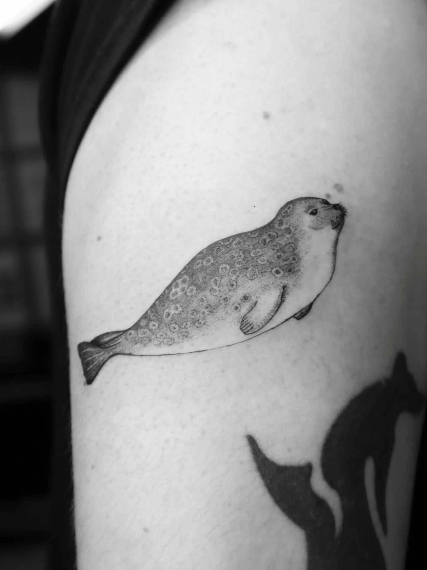 Harbor Seal for Hallie ~ 🦭
Thank you so much for your trust with doing Sea Creatures Ocean Theme Promo with me 🫶🏼

(Some surrounding pieces are not my work!)

➻ ➻ ➻ ➻
✶ Done at Level Up Studio | 📍Tacoma, WA
✶ NOVEMBER - DECEMBER BOOKINGS ARE OPEN