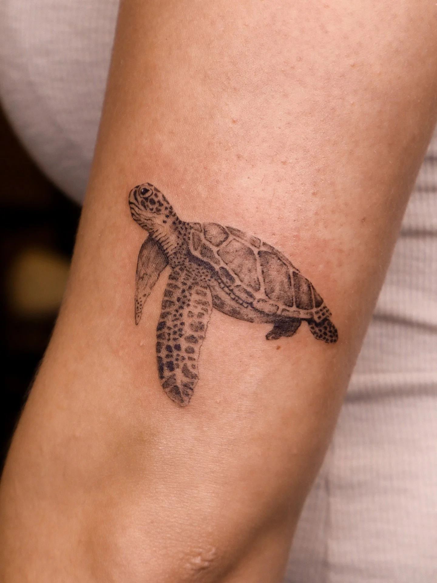 Turtle for Madison ~ 🐢
Thank you so much for your trust with doing Sea Creatures Ocean Theme Promo with me 🫶🏼

➻ ➻ ➻ ➻
✶ Done at Level Up Studio | 📍Tacoma, WA
✶ NOVEMBER - DECEMBER BOOKINGS ARE OPEN!
✶ Link in my bio to inquire about your next ta