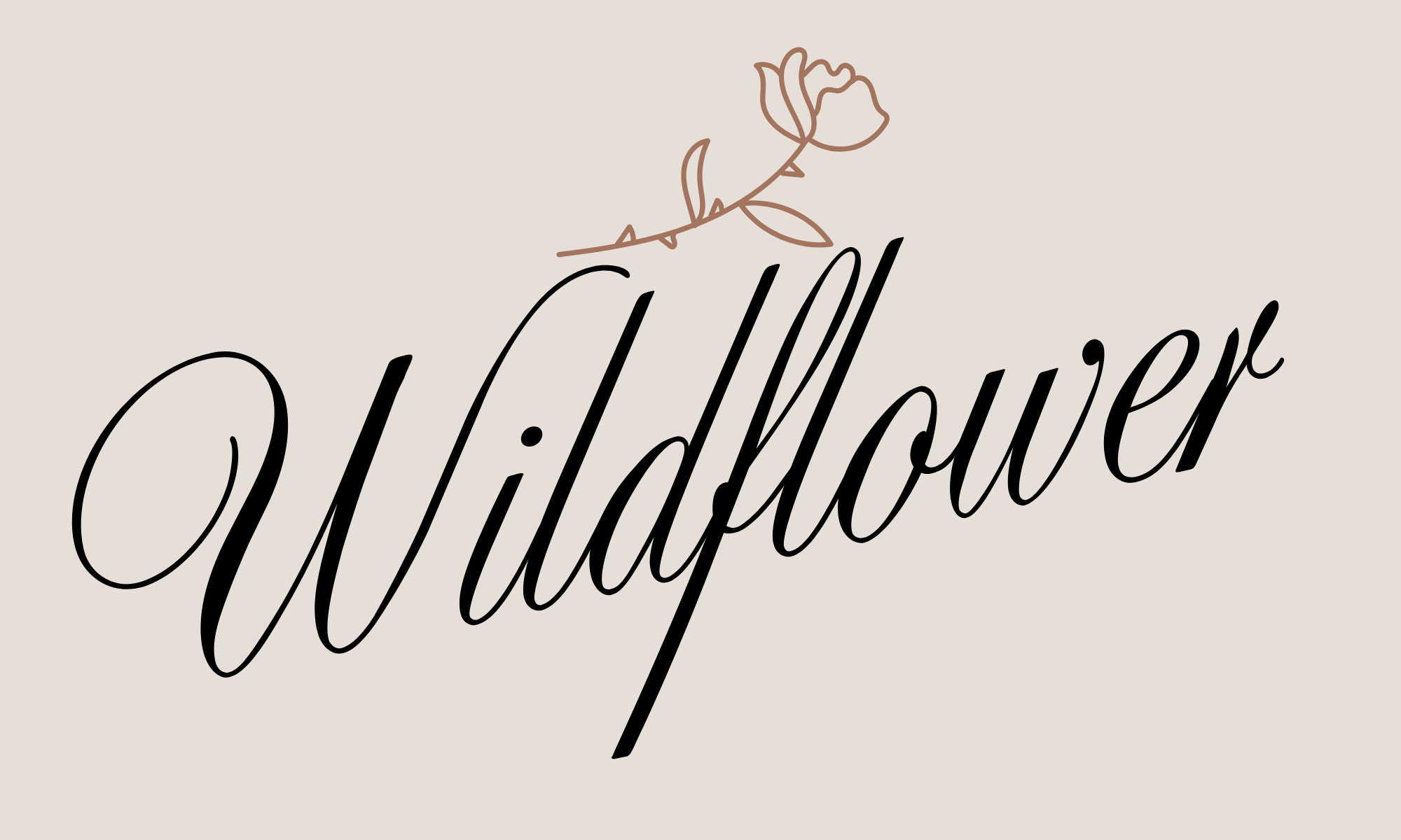 Elegant text reading 'Wildflower' with a simple outline of a rose above it, all on a light beige background.