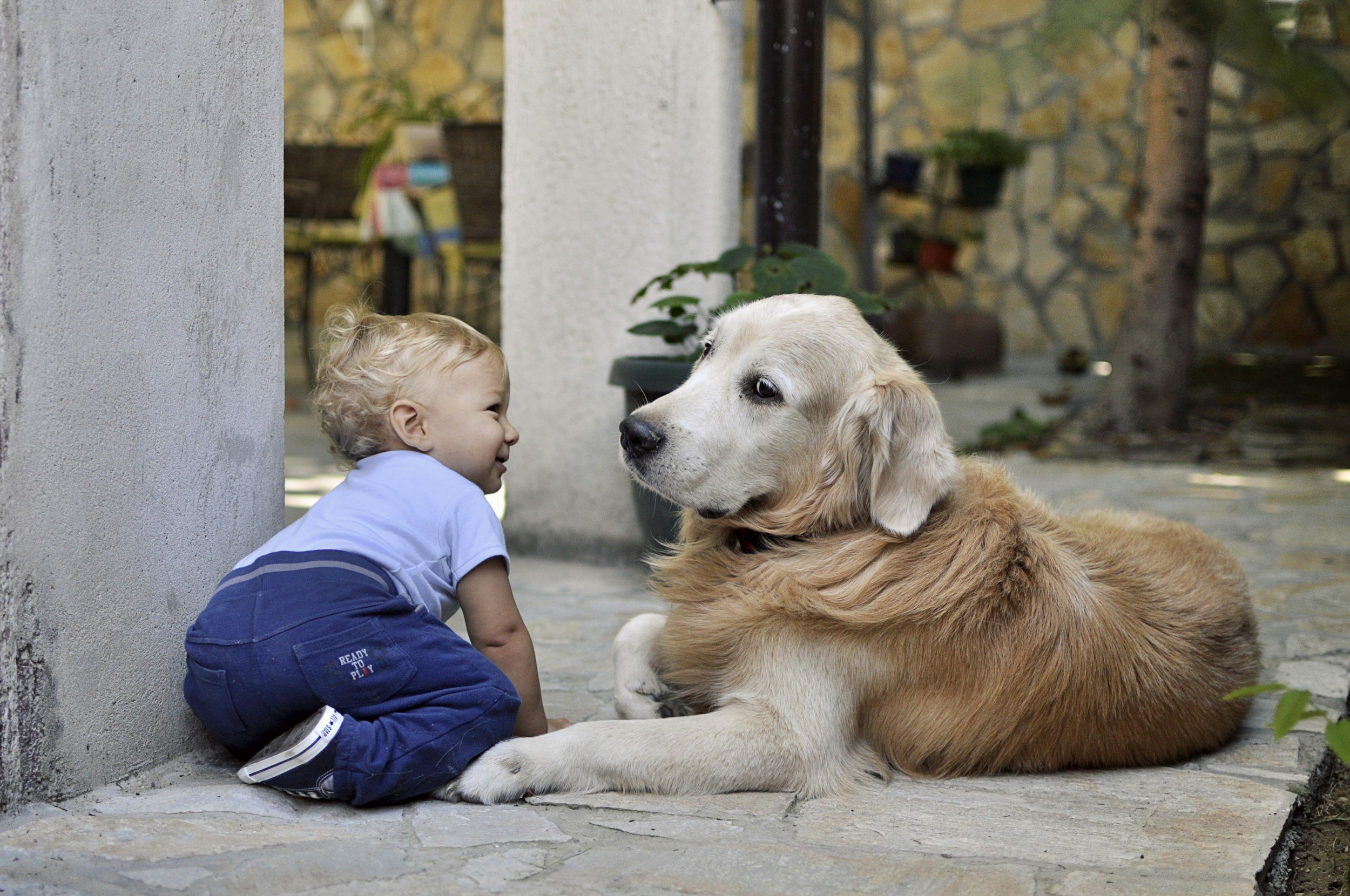dog and baby