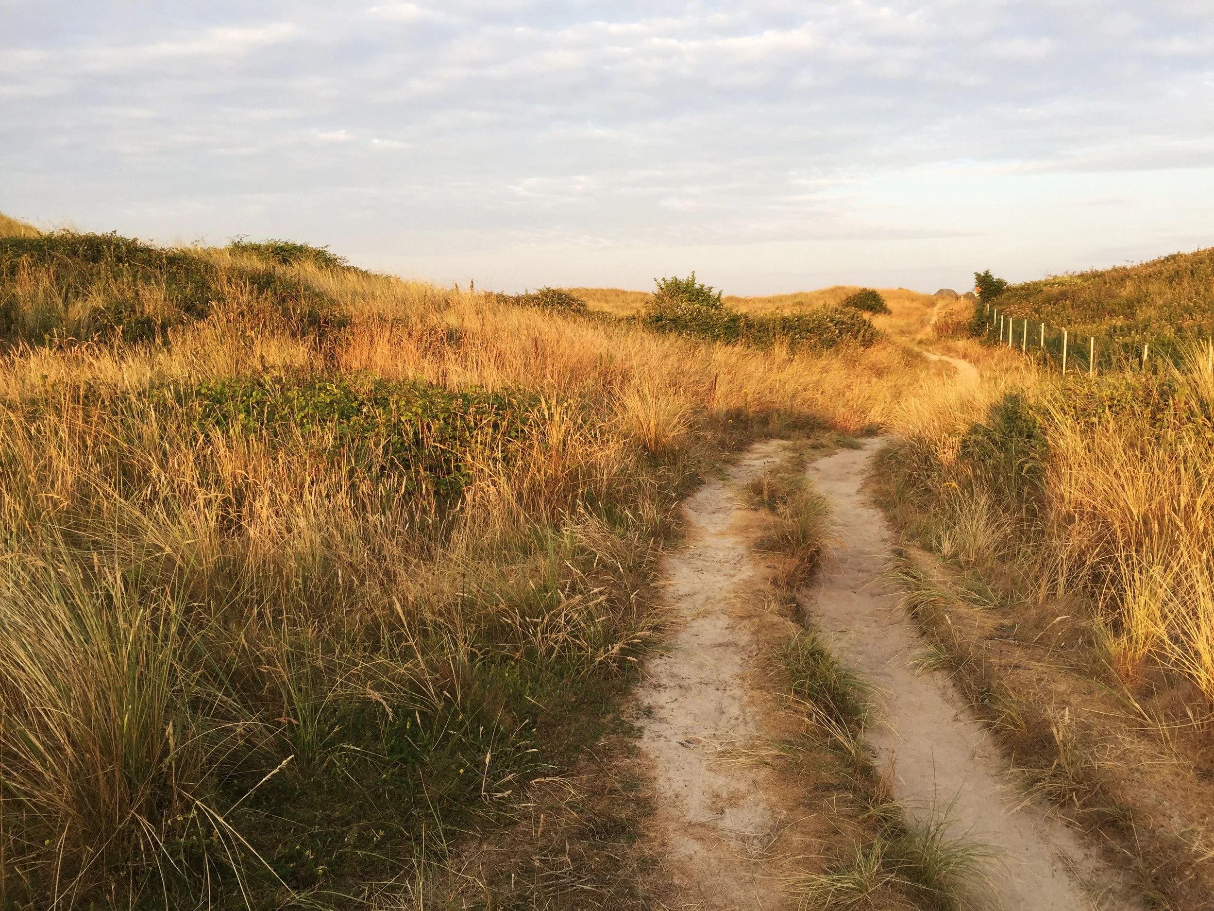 Good Governance Is Good Fundraising