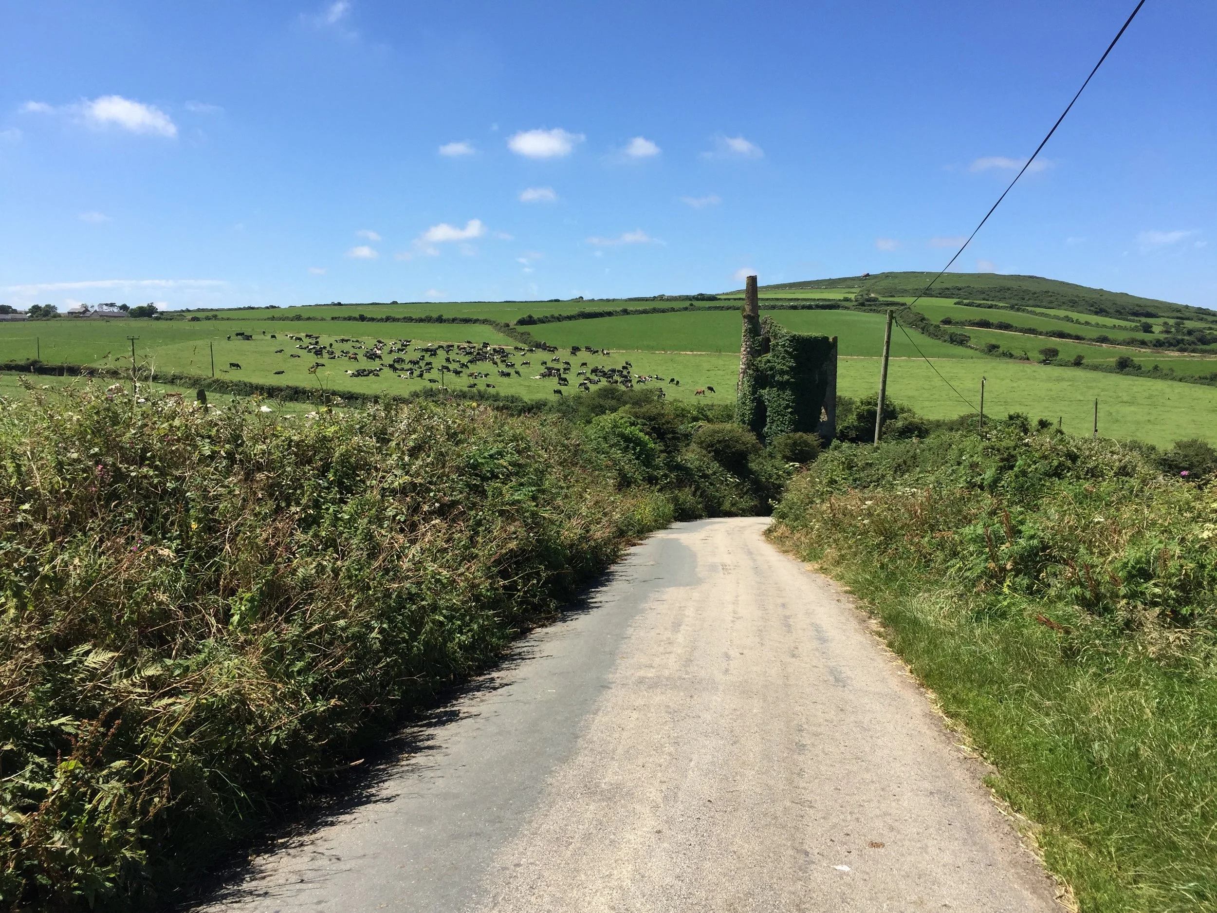 Addressing Financial Challenges