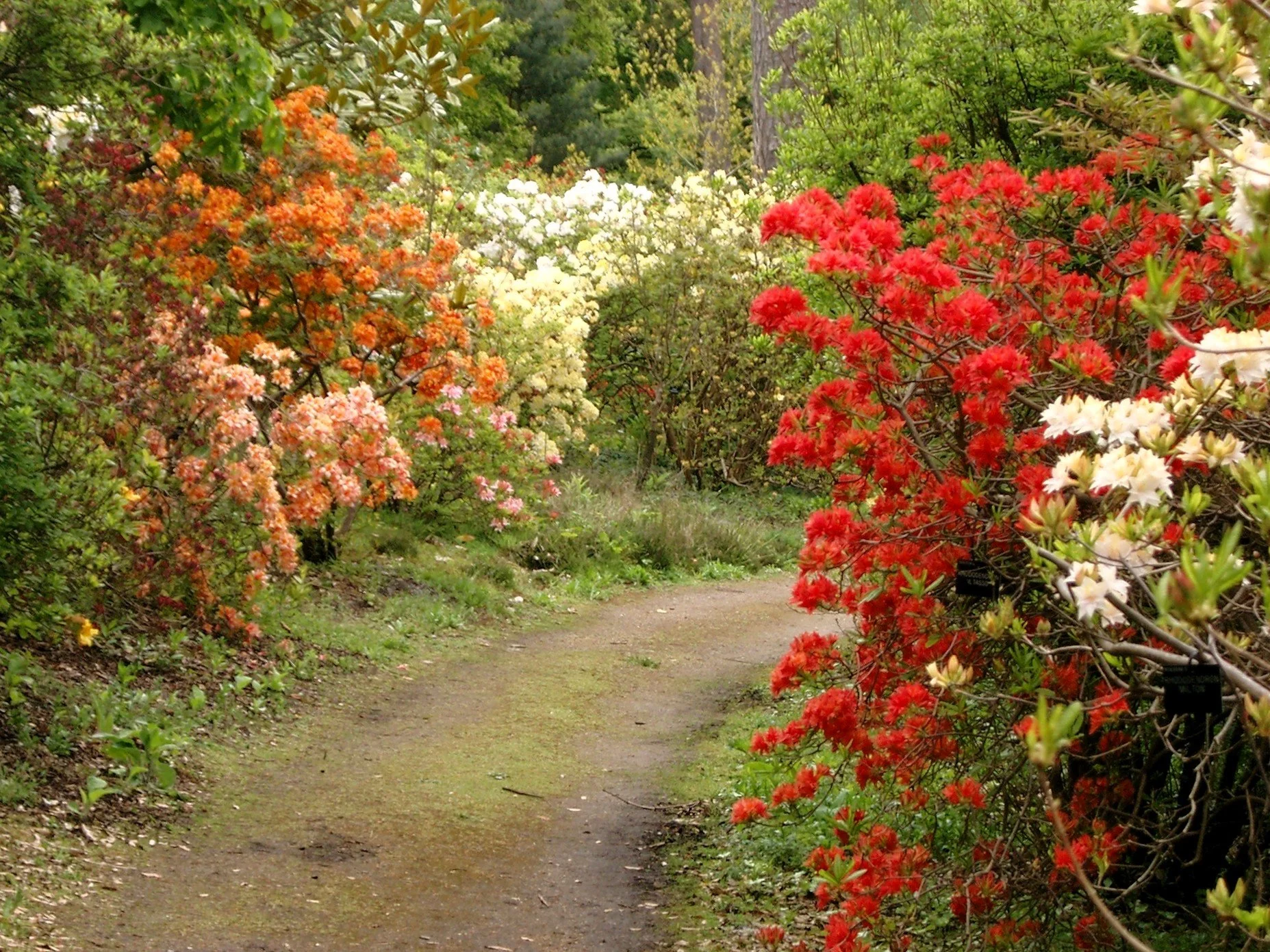 Building Your Endowment With a Major Campaign