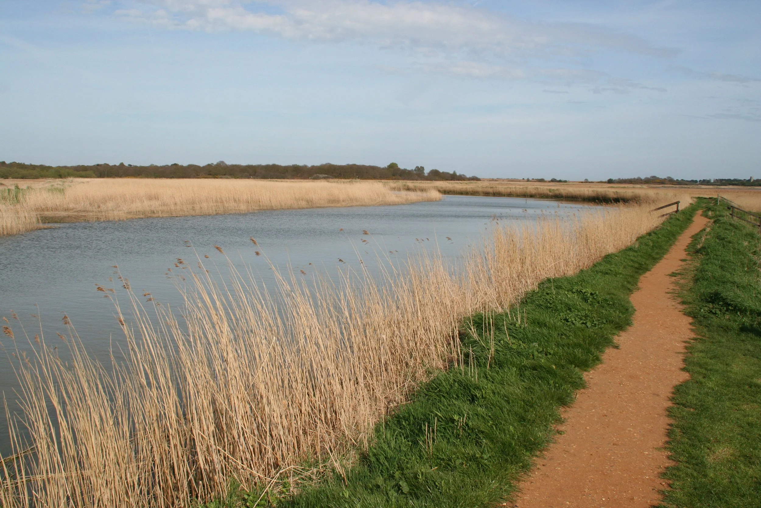 Don’t Let Fear Stand In Your Way