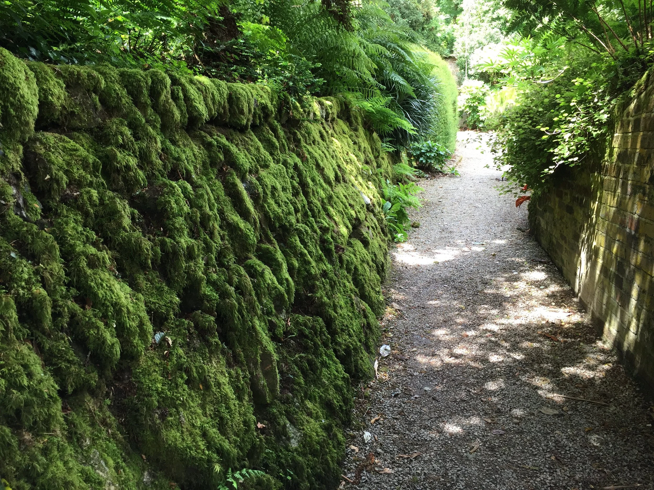 The Power of Donor Segmentation