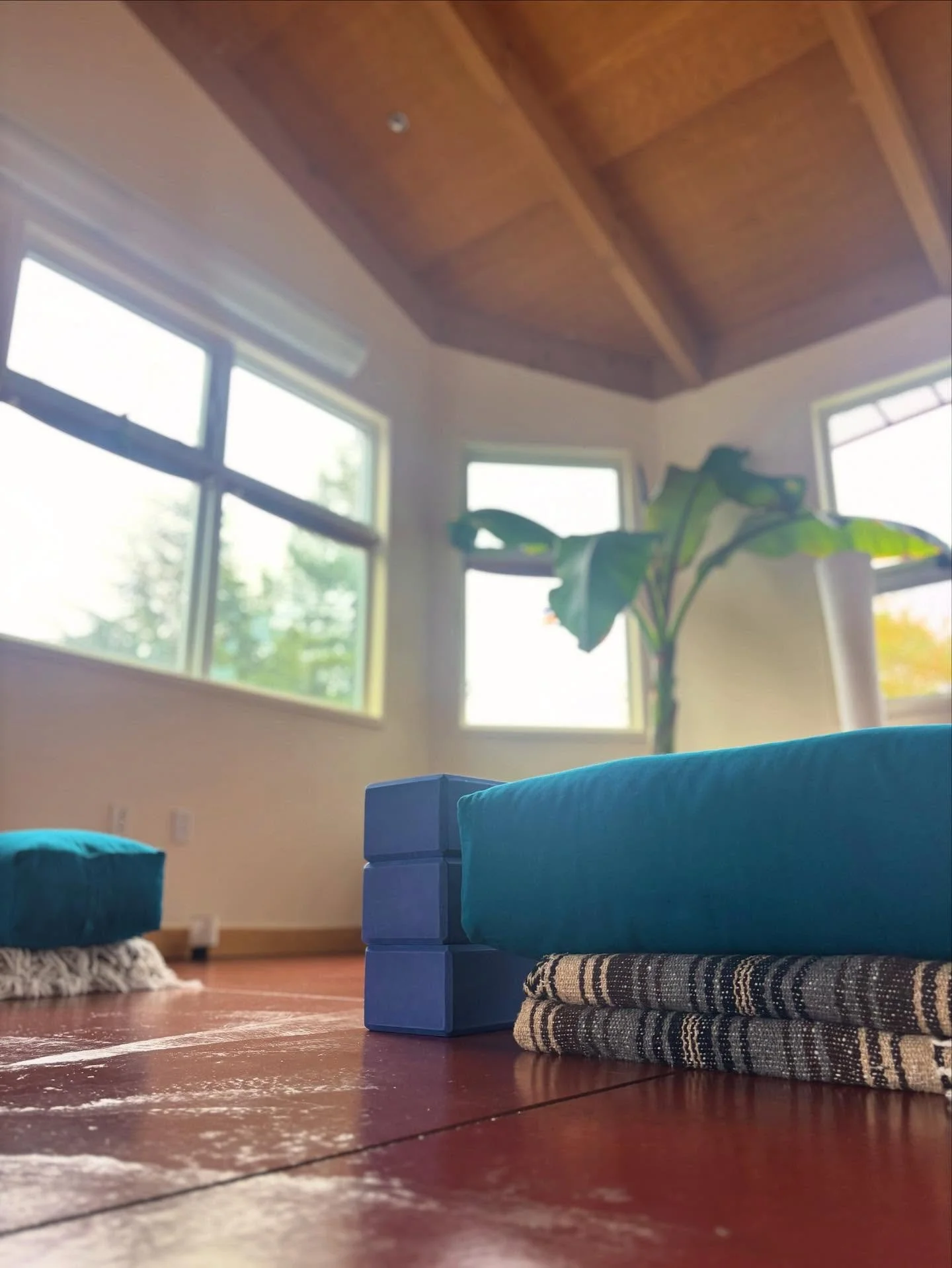 A space to amplify what supports you, balance what challenges you, and restore what&rsquo;s been depleted.
Amplify. Balance. Restore. Repeat.
🌊 Two Waves Yoga

#SebastopolSmallBusiness #SebastopolEvents #SebastopolCommunity #YogaNearMe #YogaSonomaCo