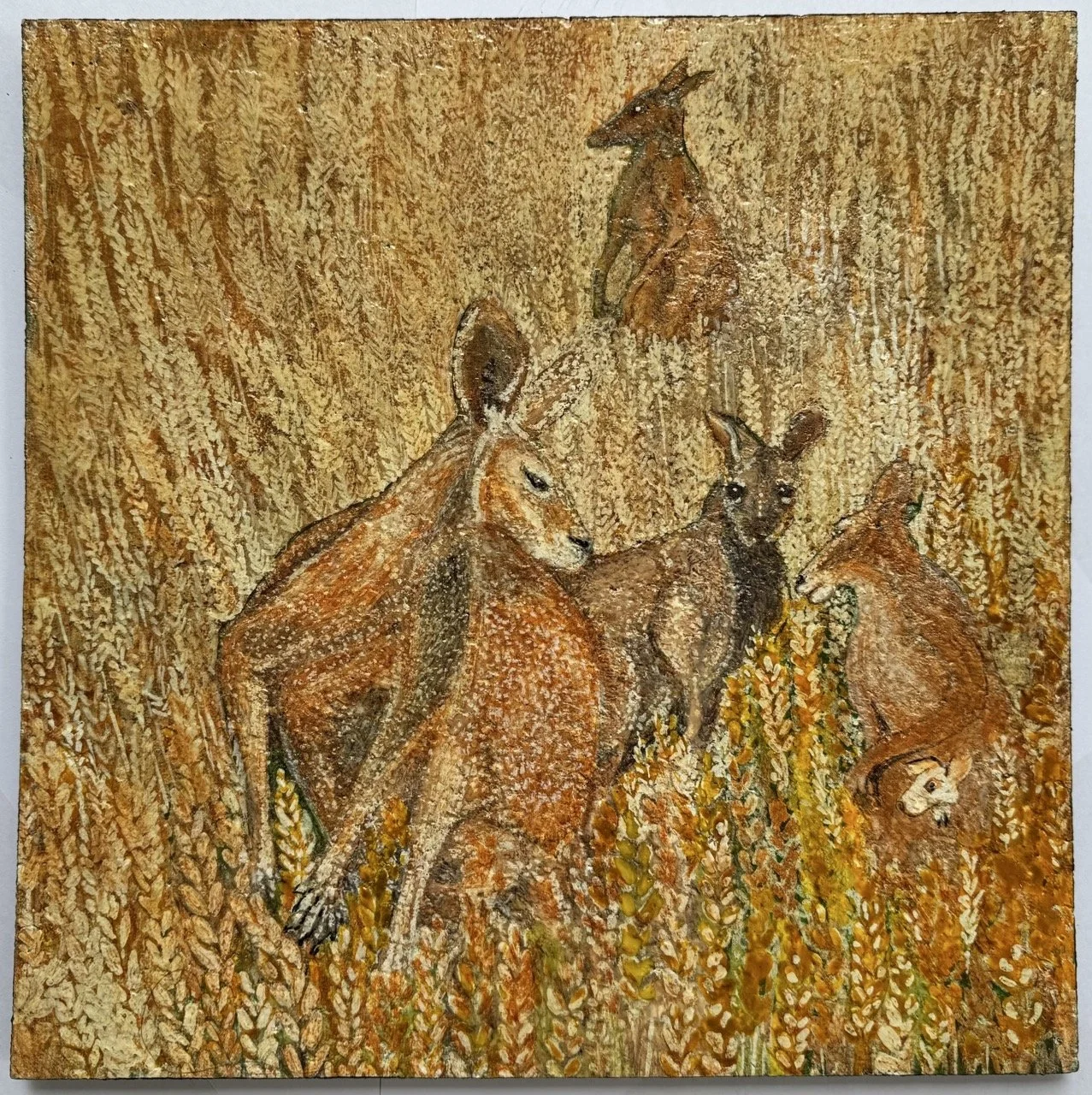 Red kangaroos in long grass - artwork by Sally Smith