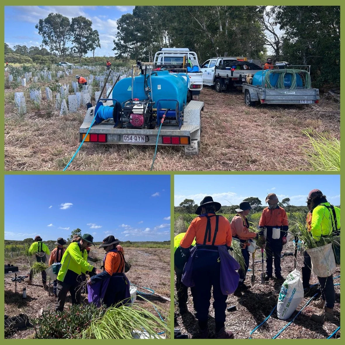 As part of our Whyte Island rehabilitation project for the Port of Brisbane (POB), our team had the opportunity to partner with @thicketplanting, leaders in their field and known for the exceptional quality of their work 🌿 

This collaboration was n