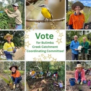 🌿 Vote for Bulimba Creek Catchment Coordinating Committee! 🌿
Bulimba Creek Catchment Coordinating Committee (B4C) has been selected as one of only 49 recipients of Transurban&rsquo;s 2025 Community Grants Program &mdash; recognising our ongoing wor