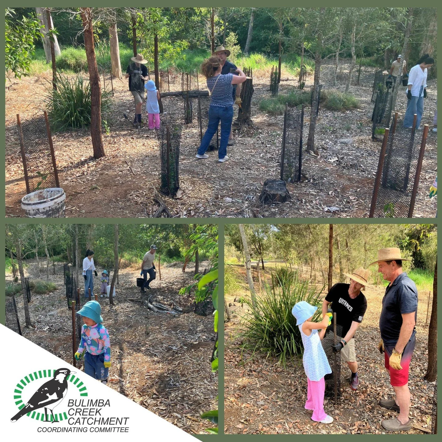🌿 Pioneer Drive Bushcare &ndash; Welcoming Local Volunteers
💚Supported by the Bulimba Creek Environment Fund, the new Pioneer Drive Bushcare Group has officially launched &mdash; and it&rsquo;s already building a wonderful sense of community.
🌱Loc
