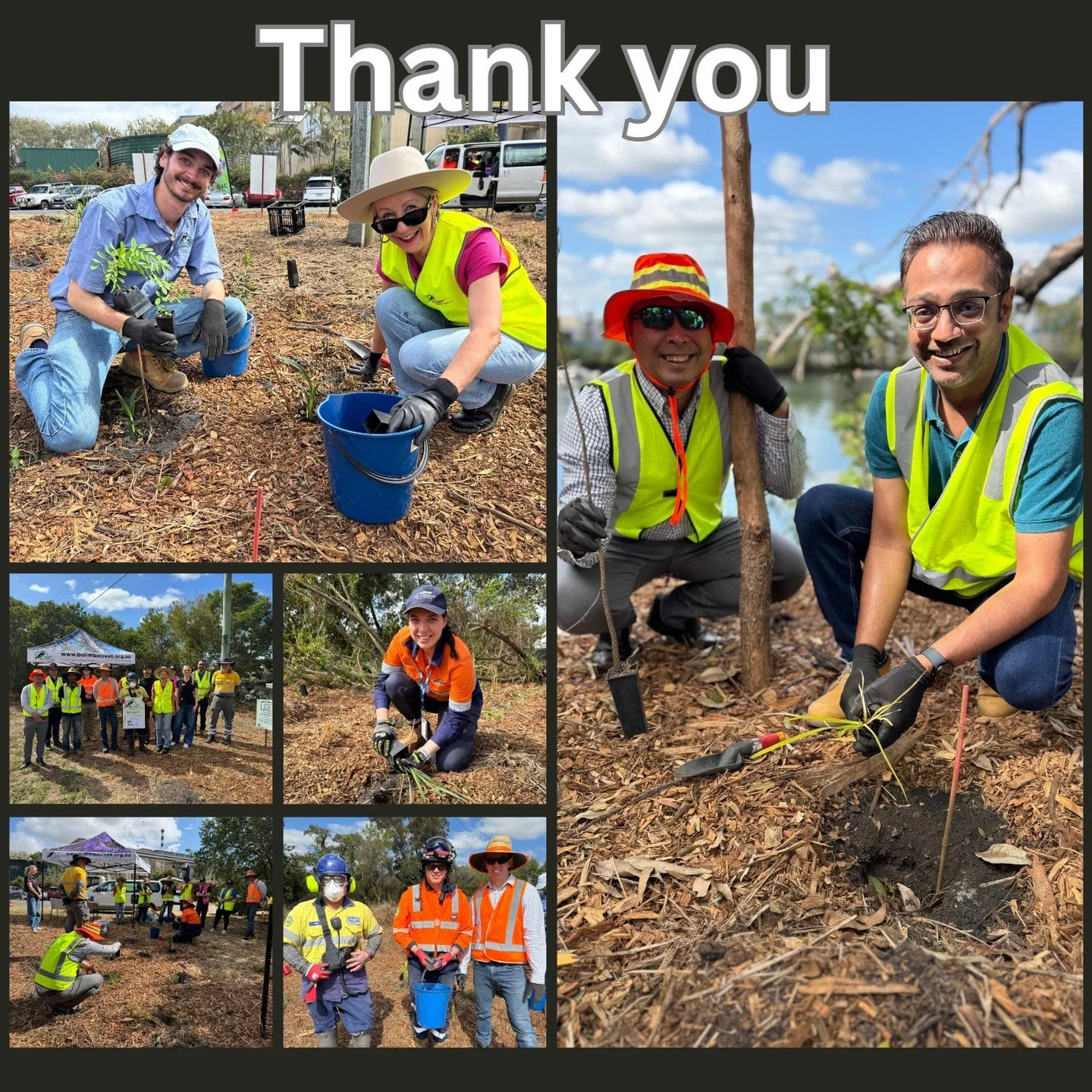 🌱 Industrial Landcare Update 🌱
A huge thank you to the dedicated volunteers who joined us for our most recent Industrial Landcare Planting. We were delighted to be joined by @di4bulimba Di Farmer MP, State Member for Bulimba, who has supported a nu