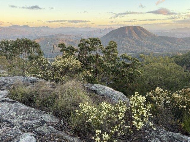 Protecting a Critical Link in the Mount Barney Landscape
