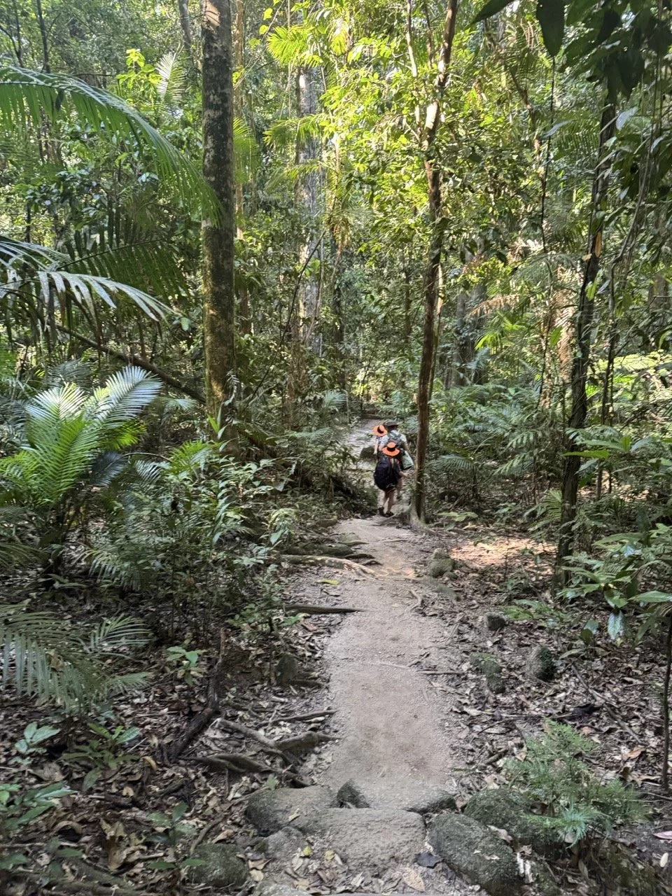 Engaging in Nature 
