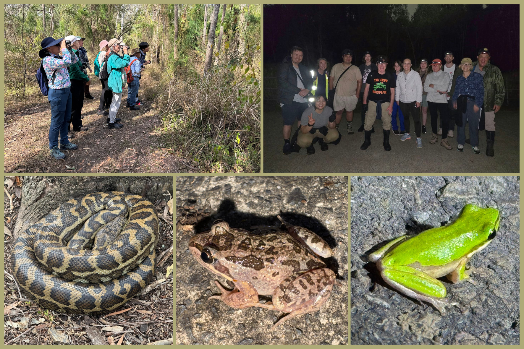 BioBlitz October – Four Events Down, Two to Go!
