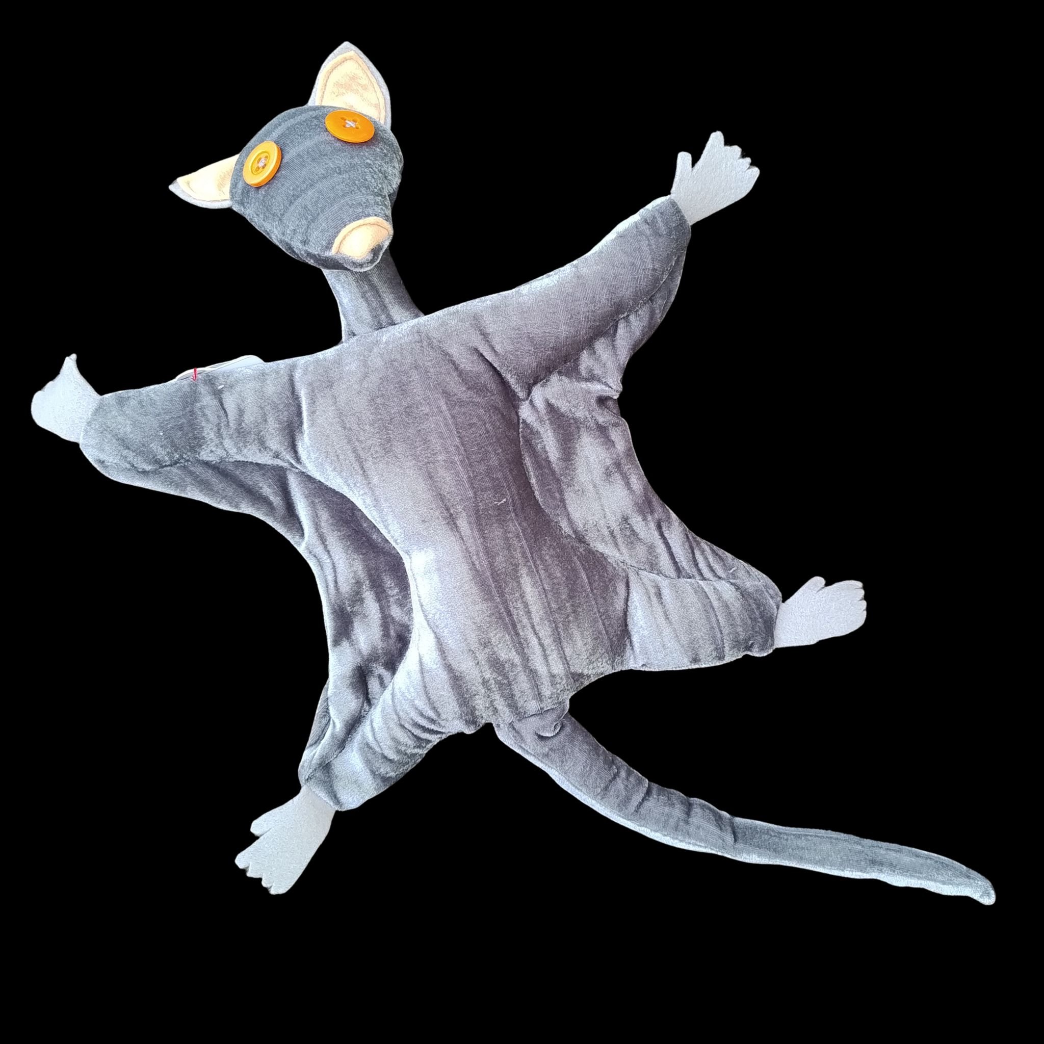 25.jpg