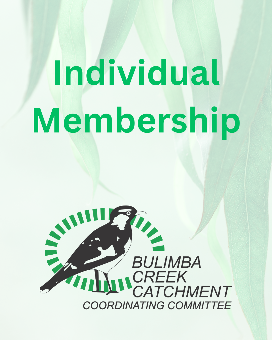 Individual Membership