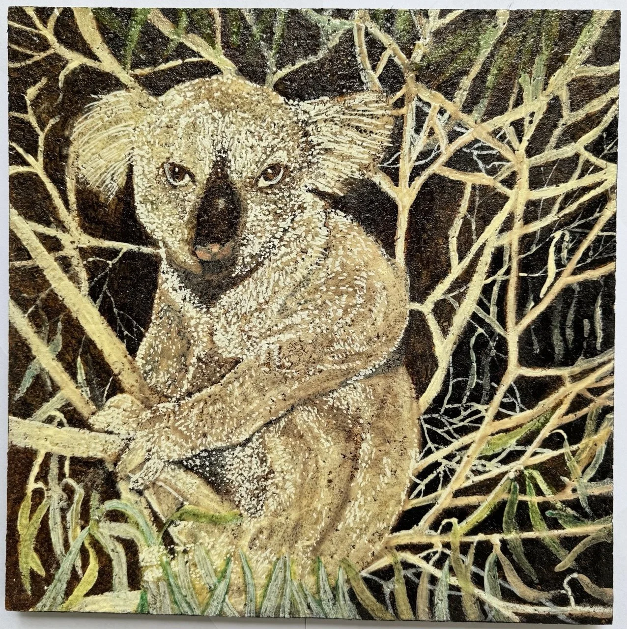 Koala on a branch - artwork by Sally Smith.