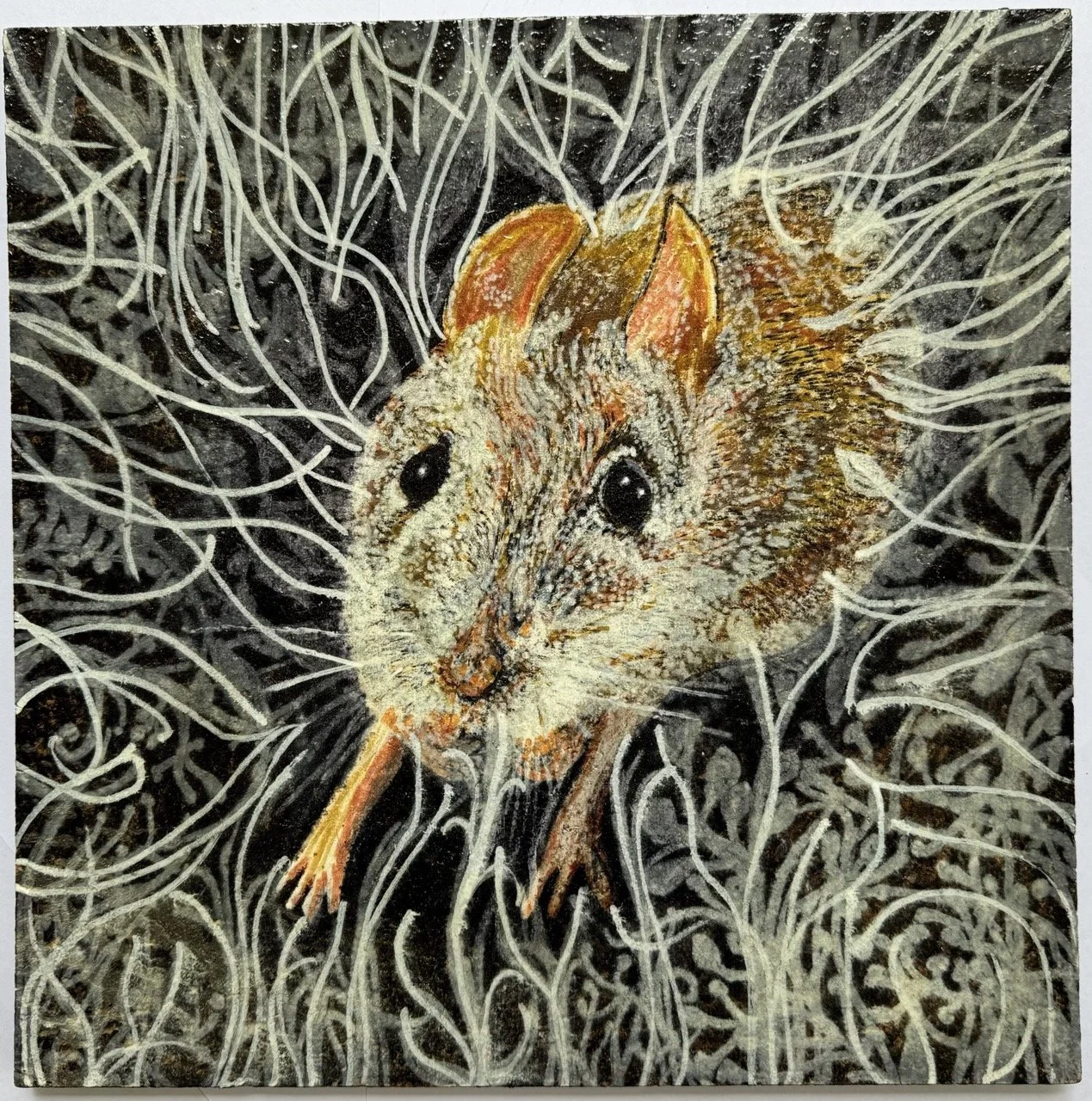 Antechinus in undergrowth - artwork by Sally Smith