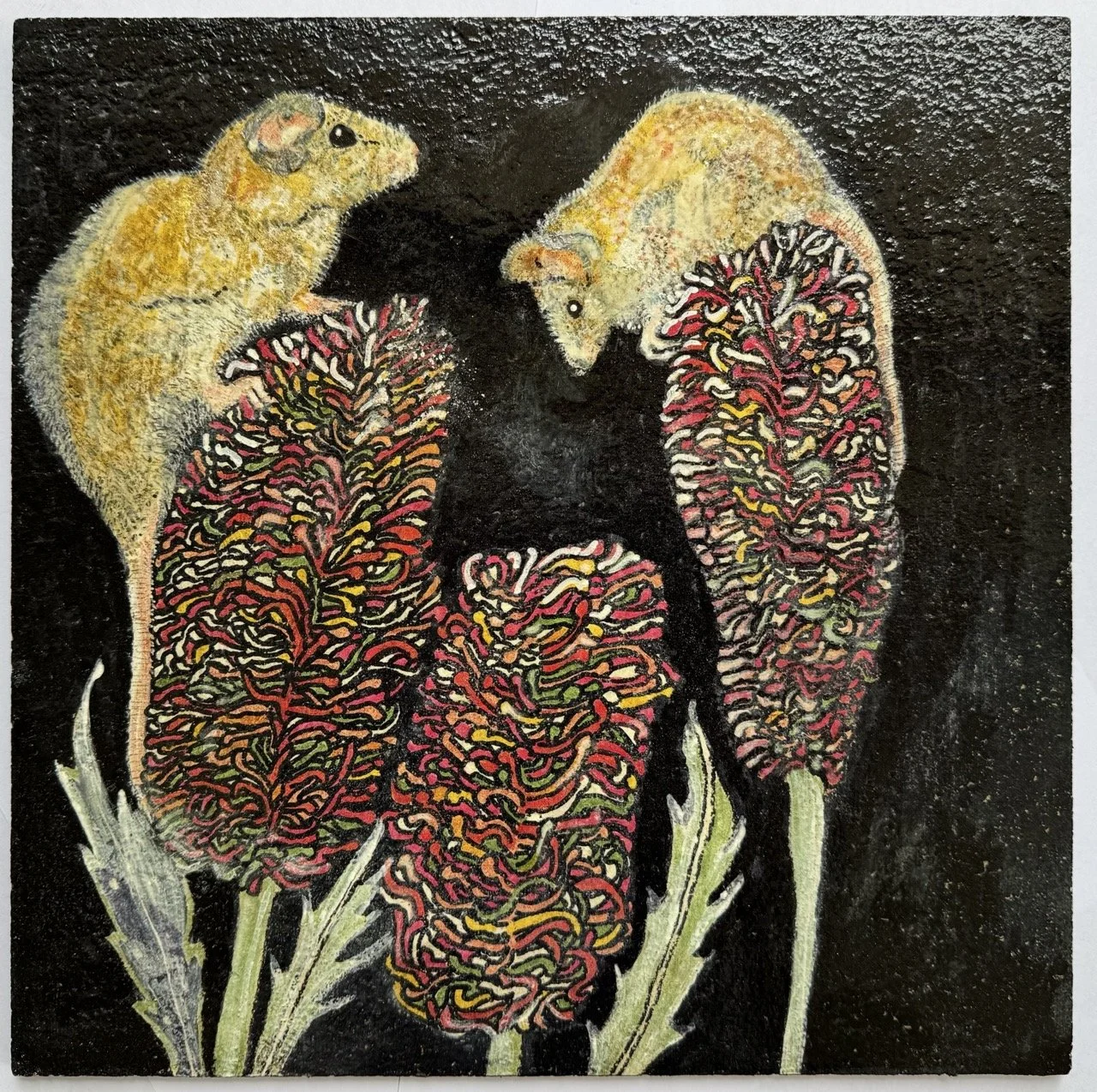 Pygmy possums - artwork by Sally Smith