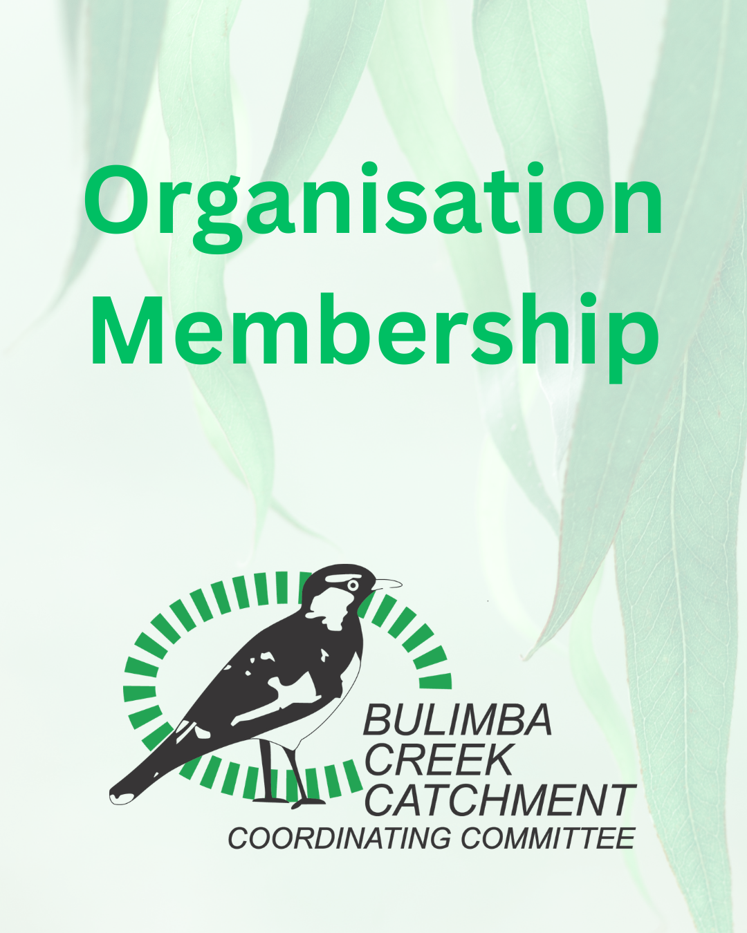 Organisation Membership