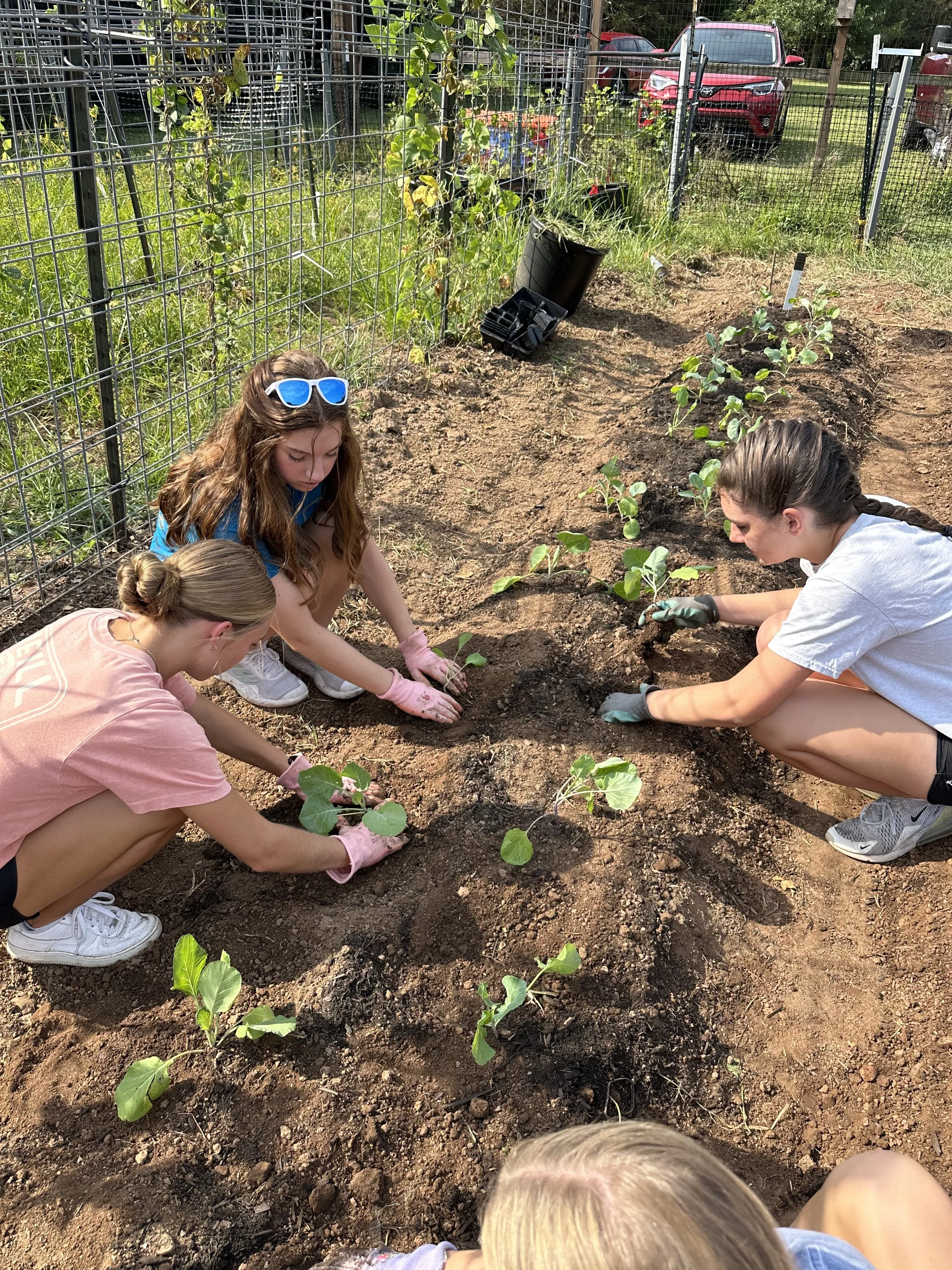 WF Youth Dig Deep at the Stake Community Conference Service Project