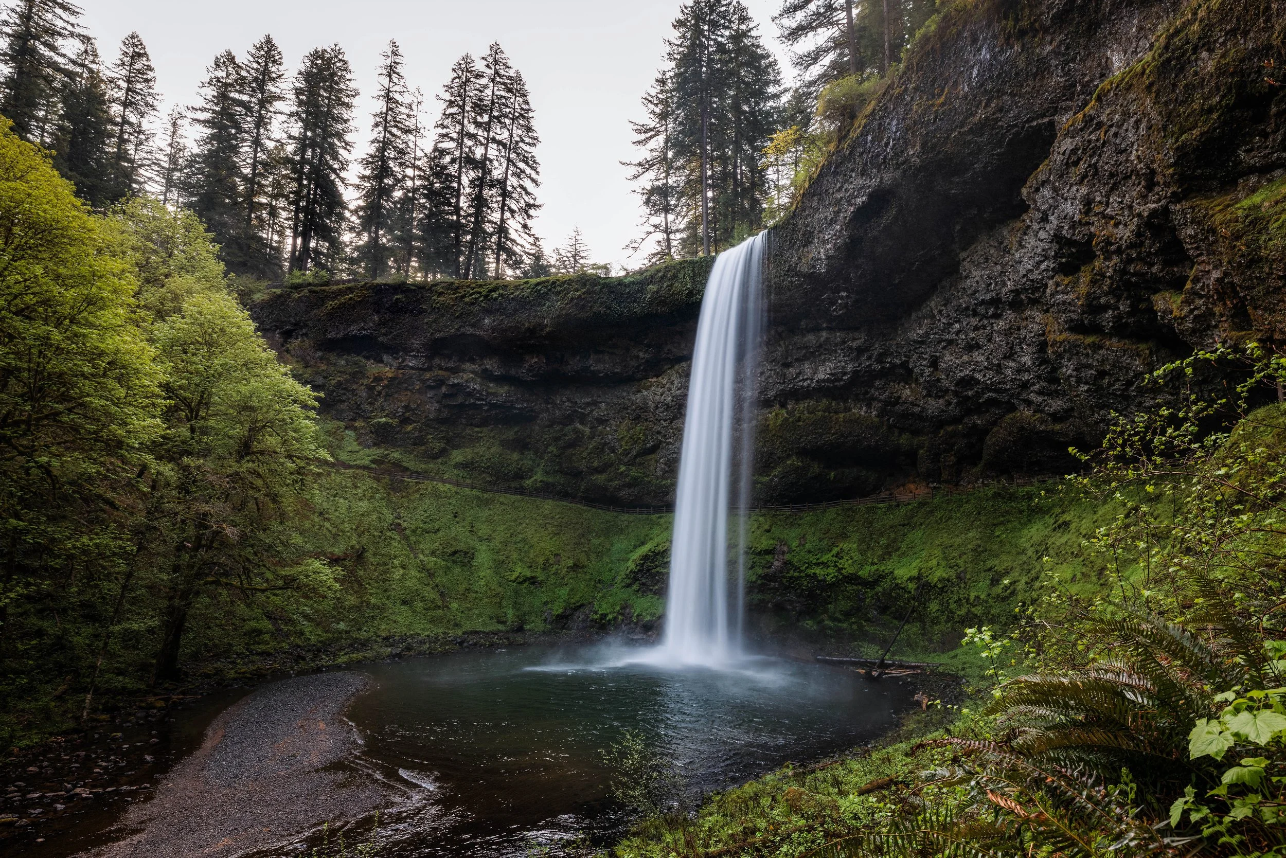 South Falls | Silver Falls State Park