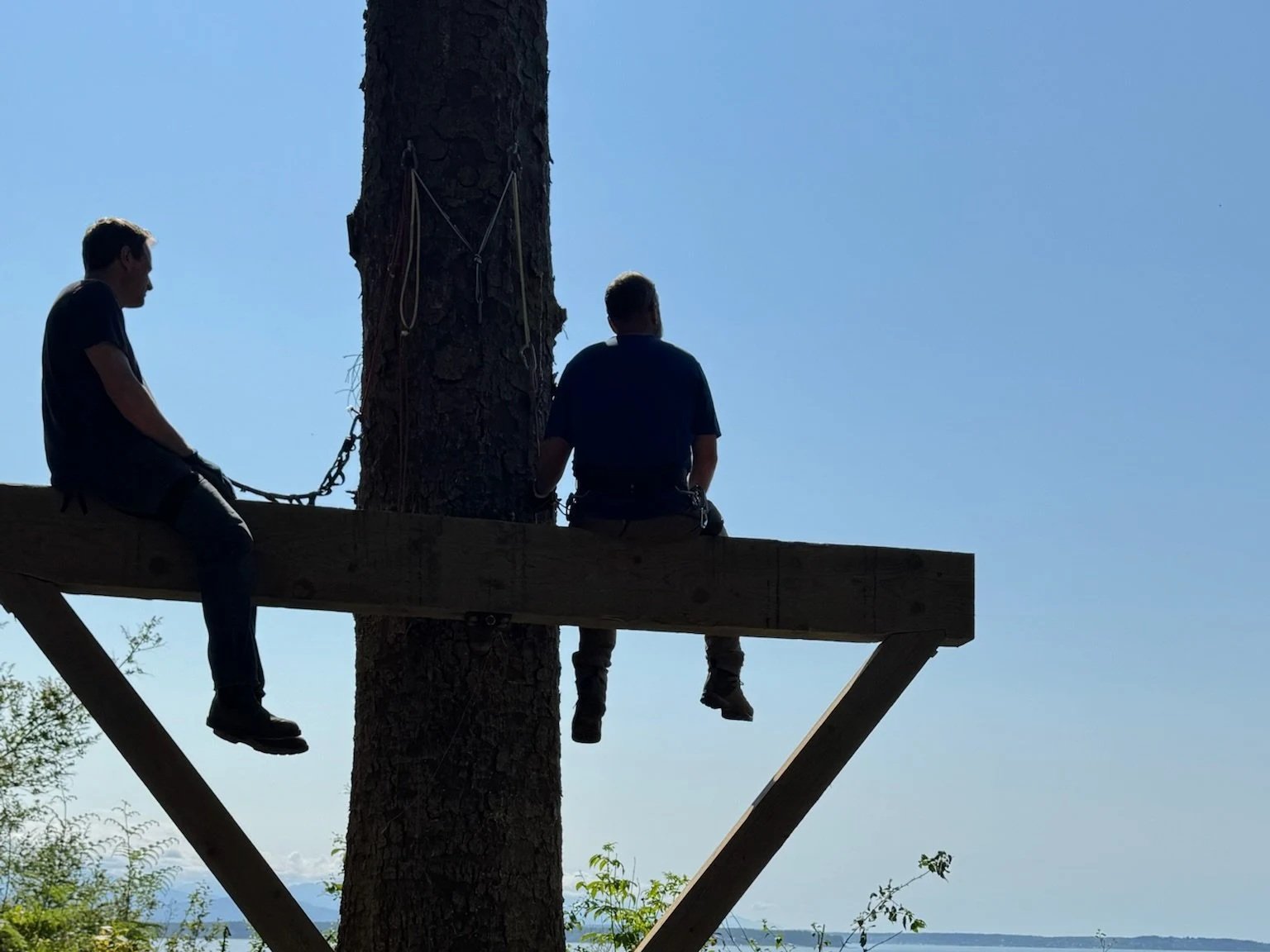 The Treehouse, In Three Acts