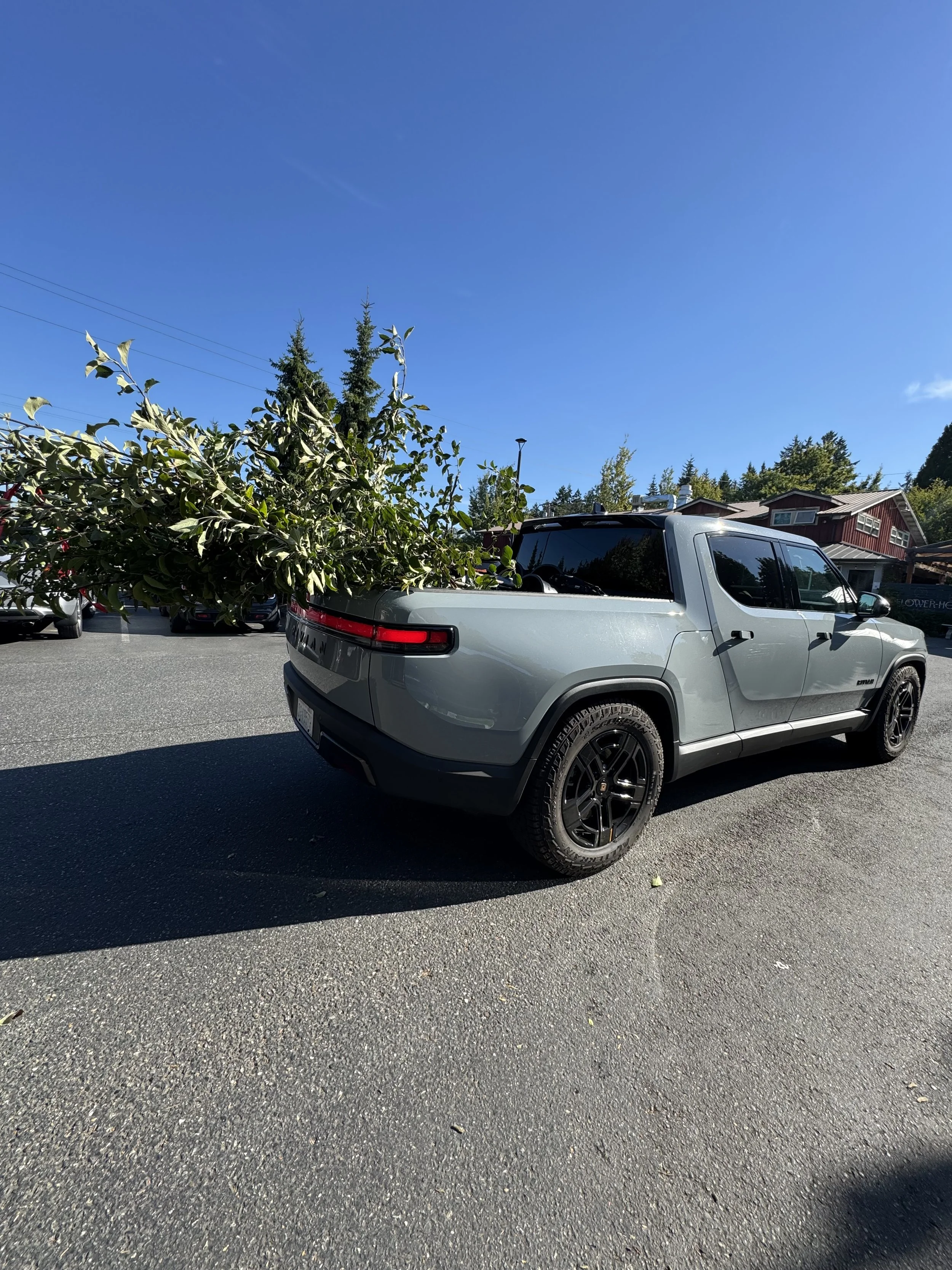 Hauling fruit trees