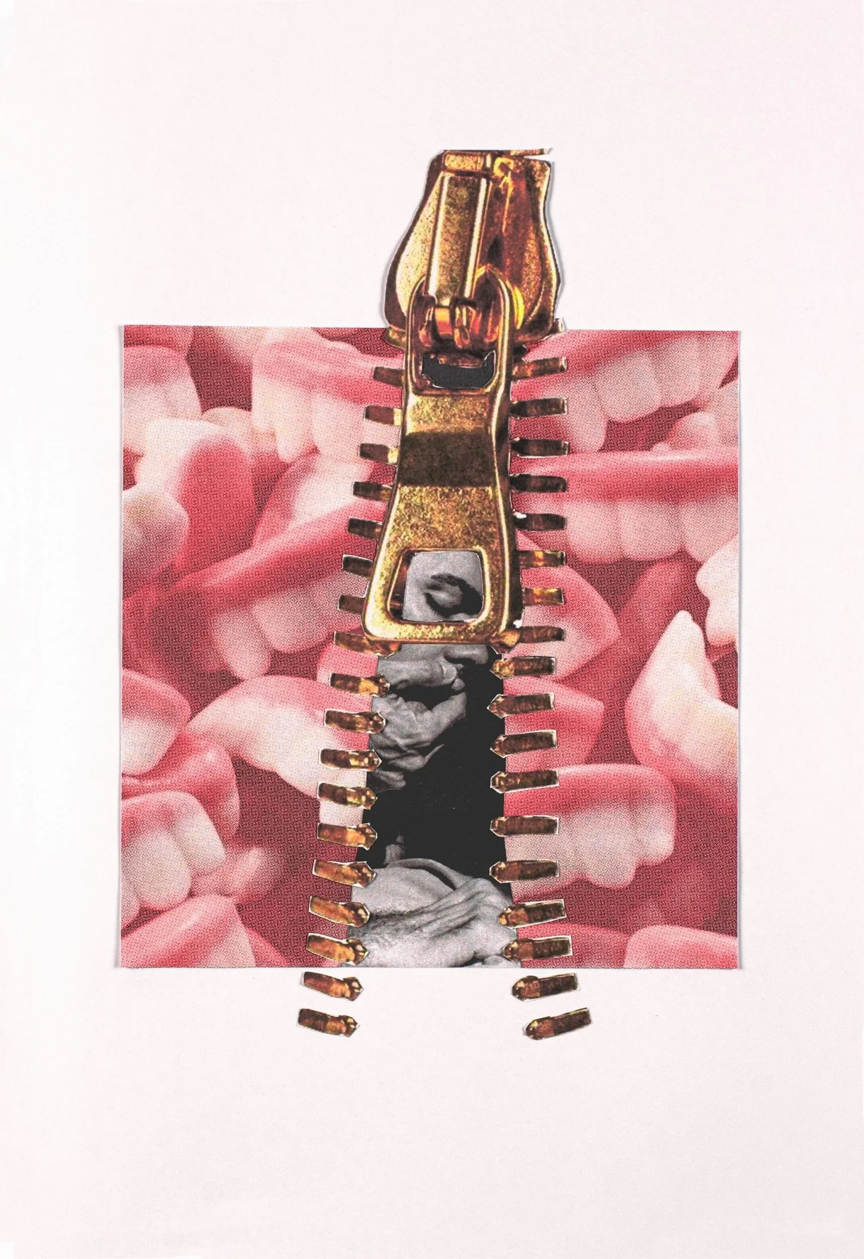 Unzipped -  '26 Analog & Digital Collage