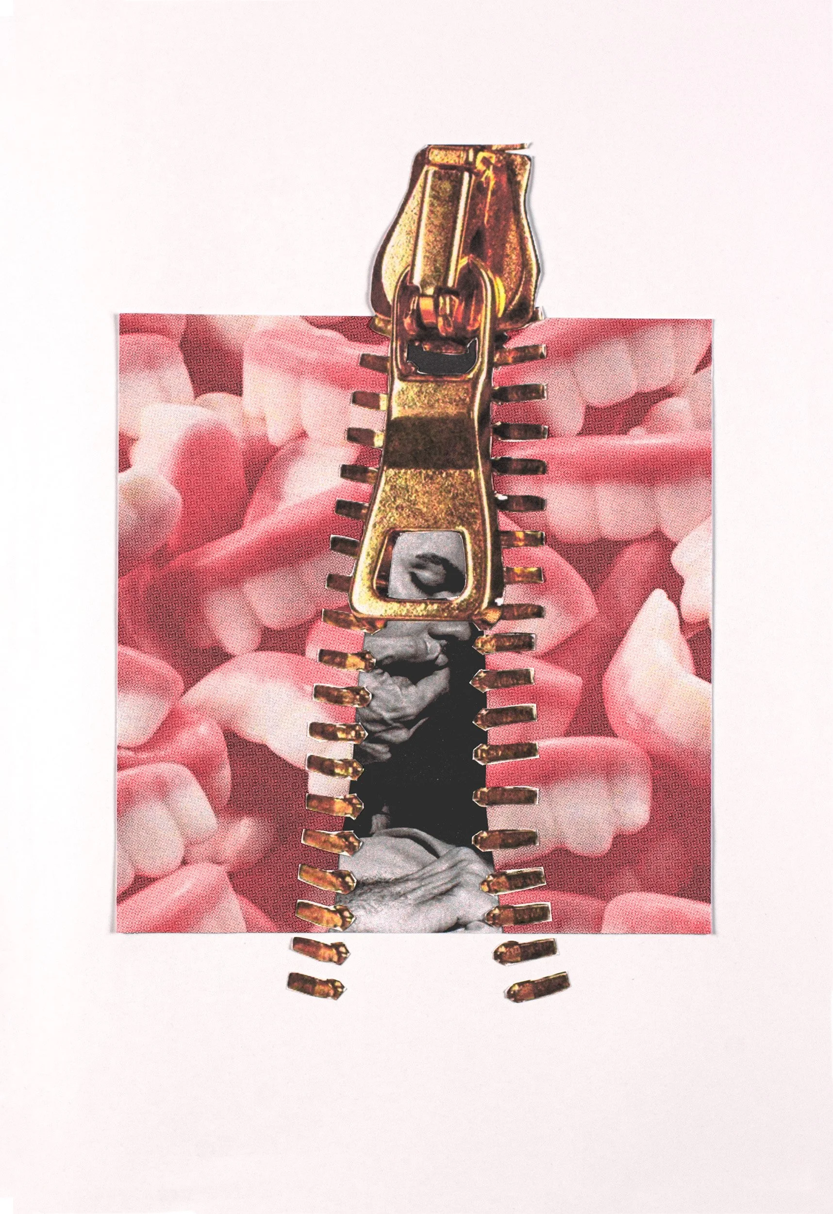 Unzipped -  '26 Analog & Digital Collage