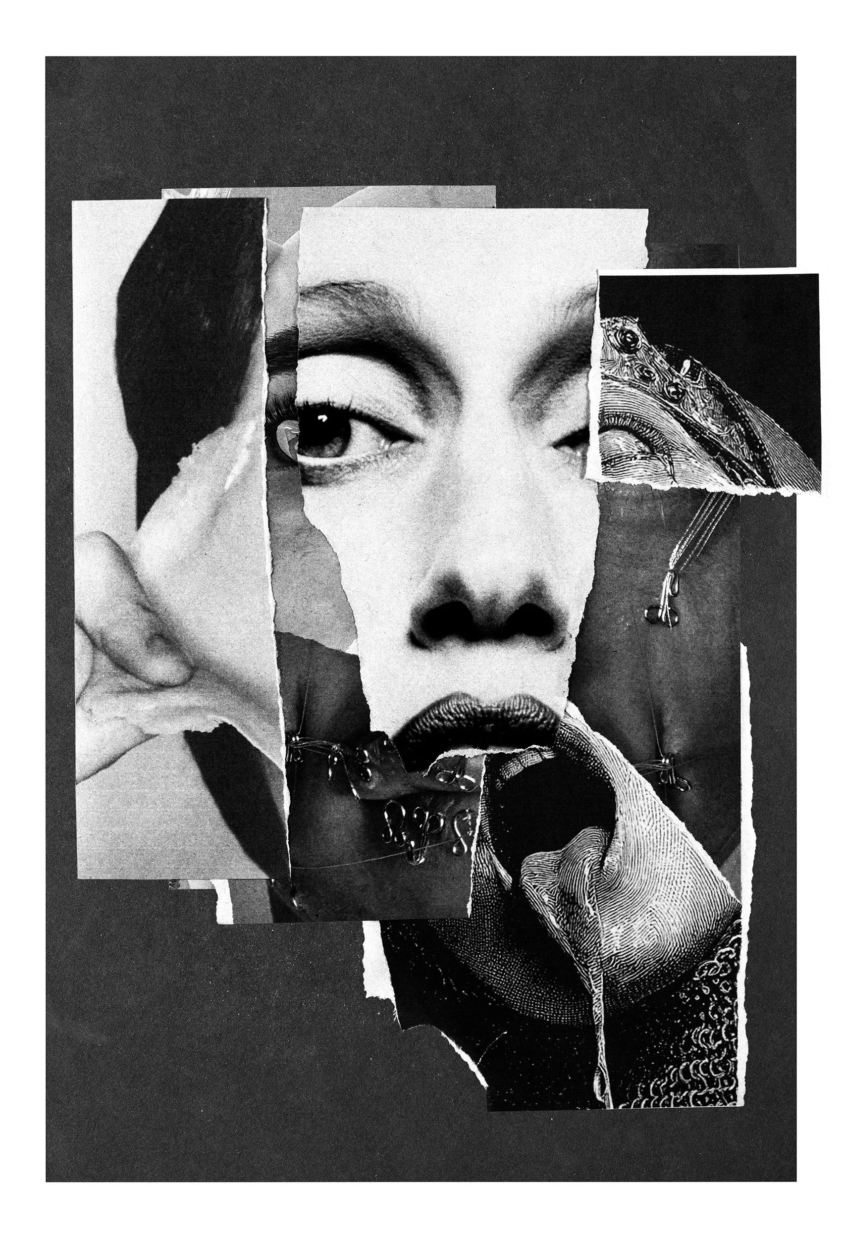 Ones Own Skin - '26 Analog & Digital Collage