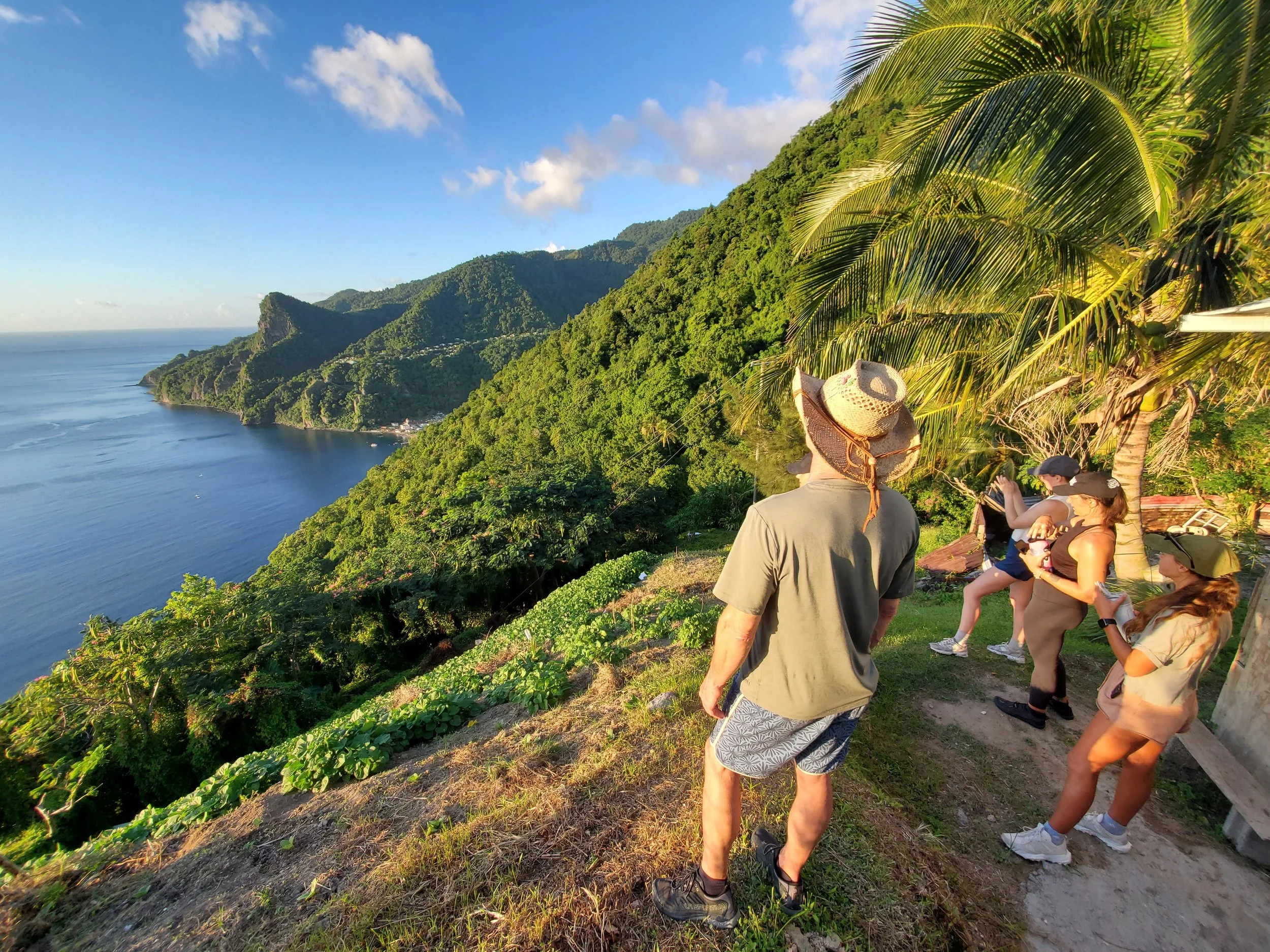People standing on a hillside overlooking lush green mountains and the ocean, with some wearing hats and casual clothing.