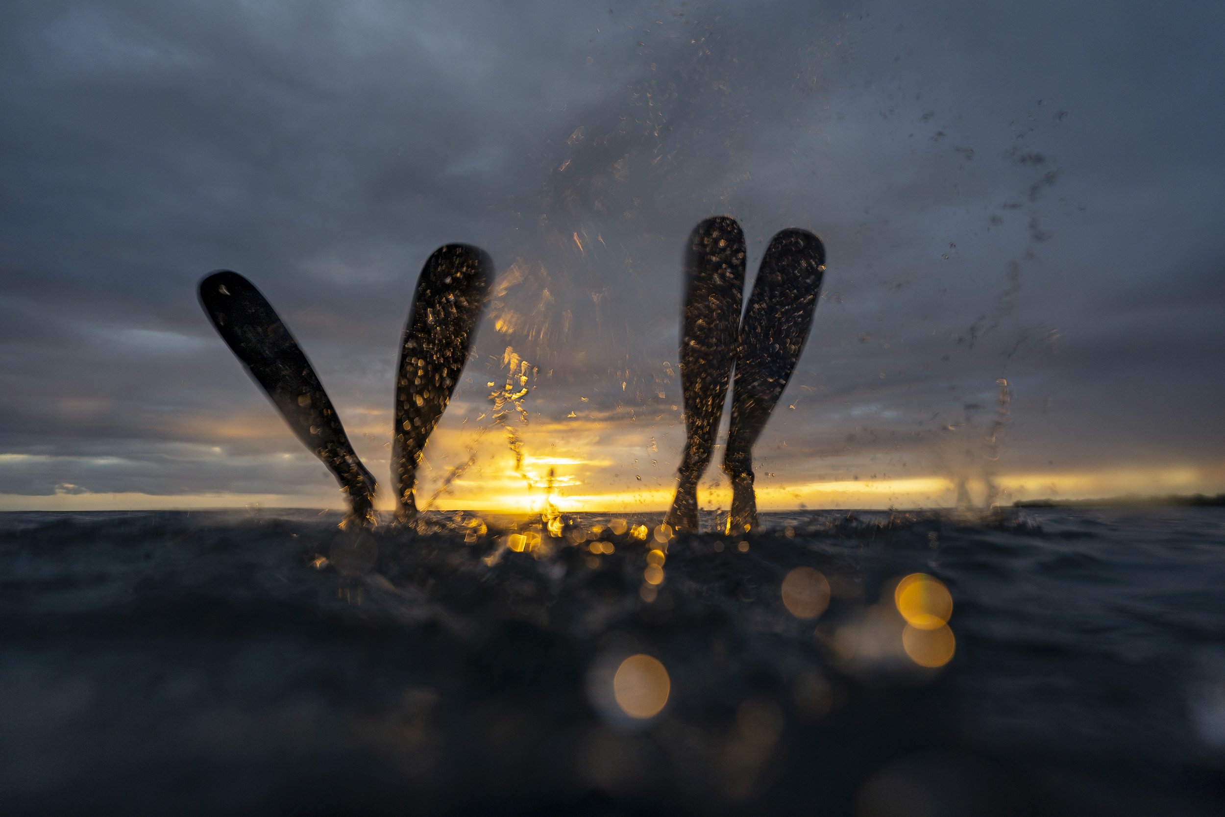 Photo taken from below the water surface showing three surfboards or bodyboards with fins standing upright in the water during sunset or sunrise, with a cloudy sky and horizon in the background.