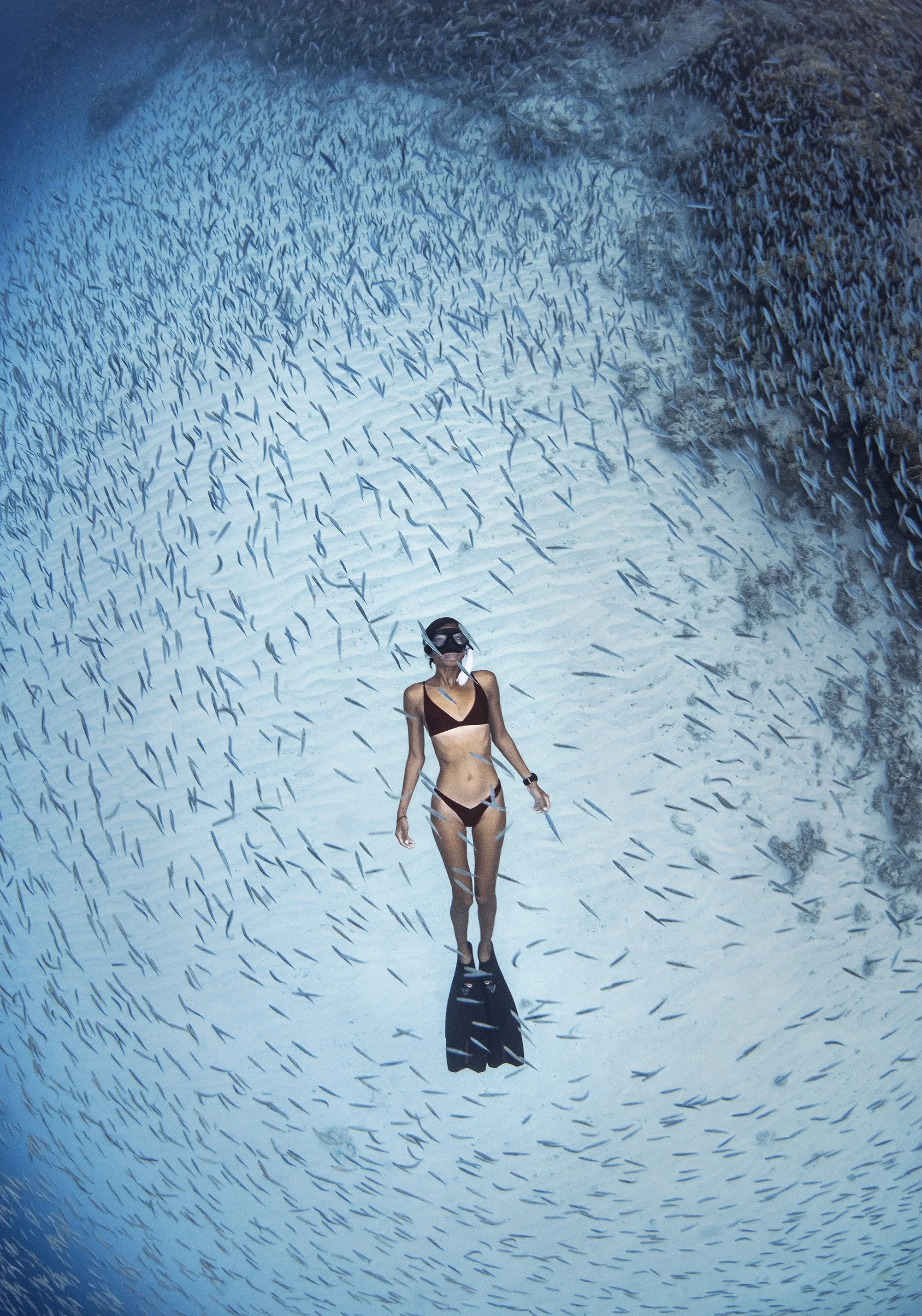A woman in a black bikini and snorkeling gear stands underwater surrounded by a large school of fish swimming in various directions.