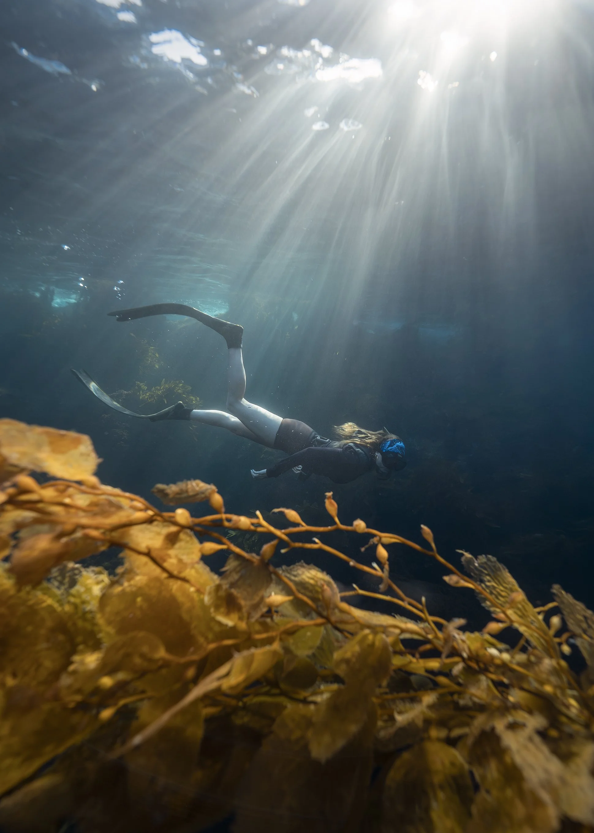 A person swimming underwater in a clear body of water with sunlight streaming down from the surface. There are some aquatic plants and rocks visible at the bottom of the water.