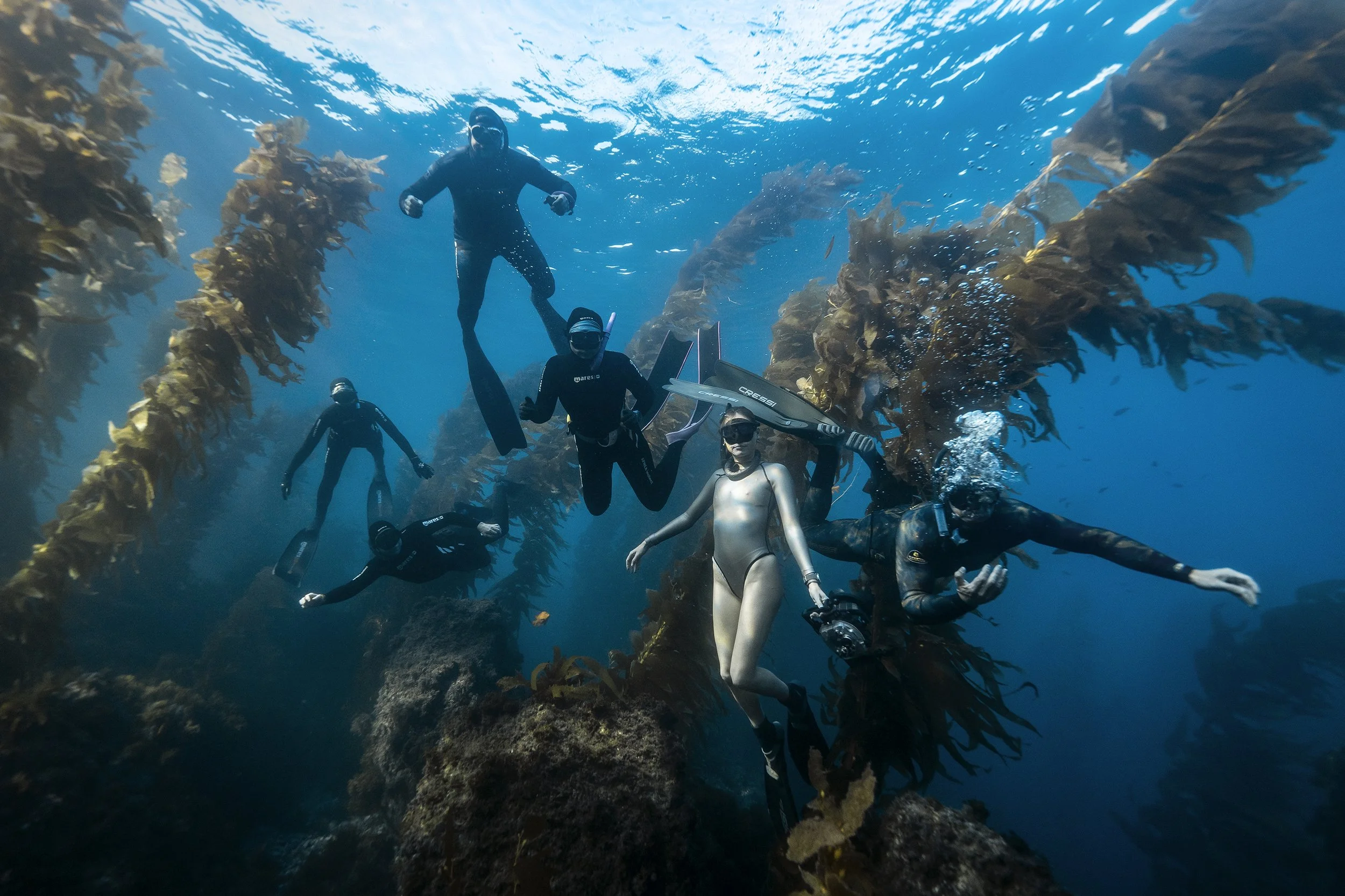 Group of people scuba diving underwater among kelp forests with sunlight filtering through the water.