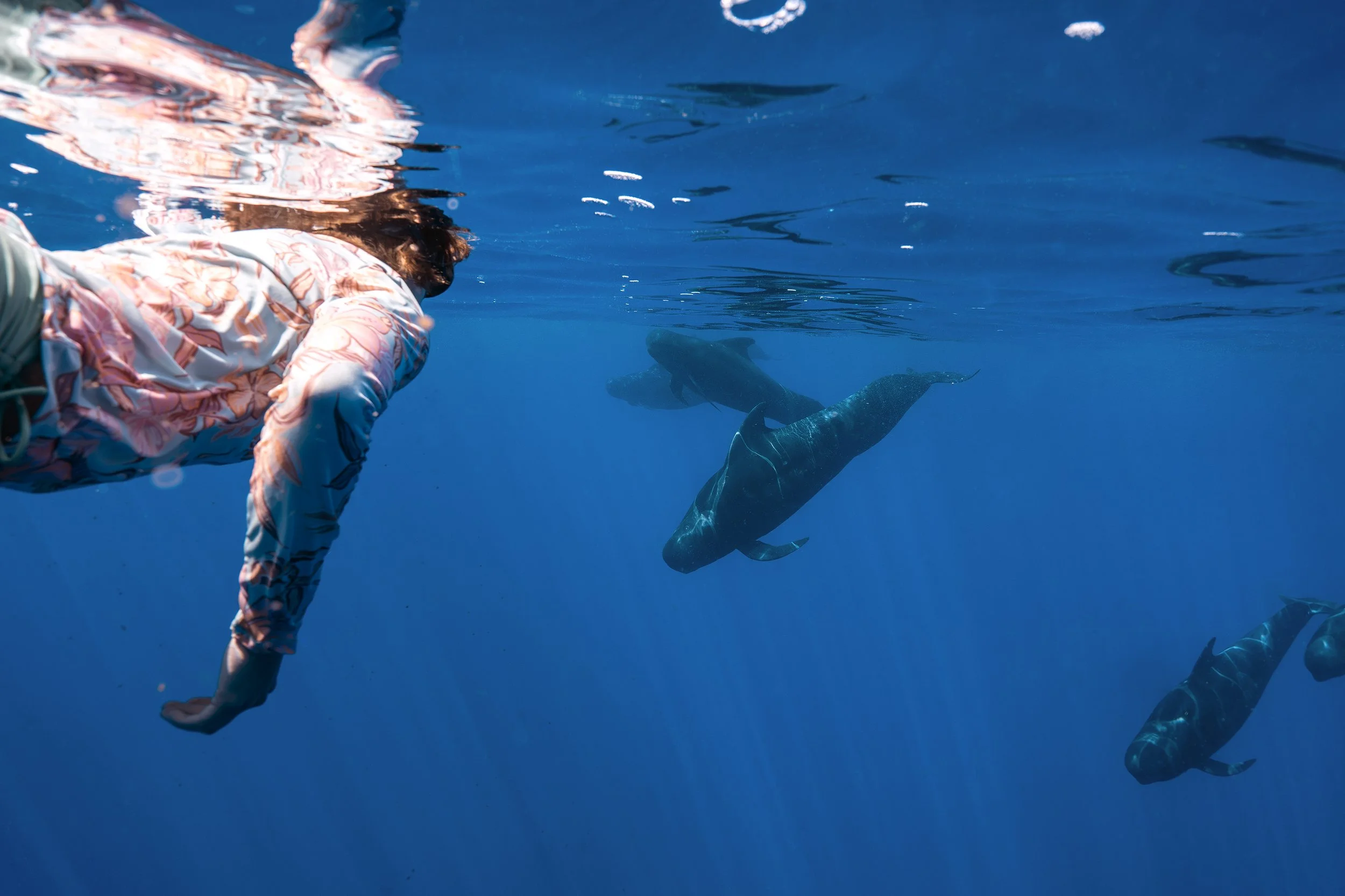 A person snorkeling in clear blue water, observing a large fish underwater.