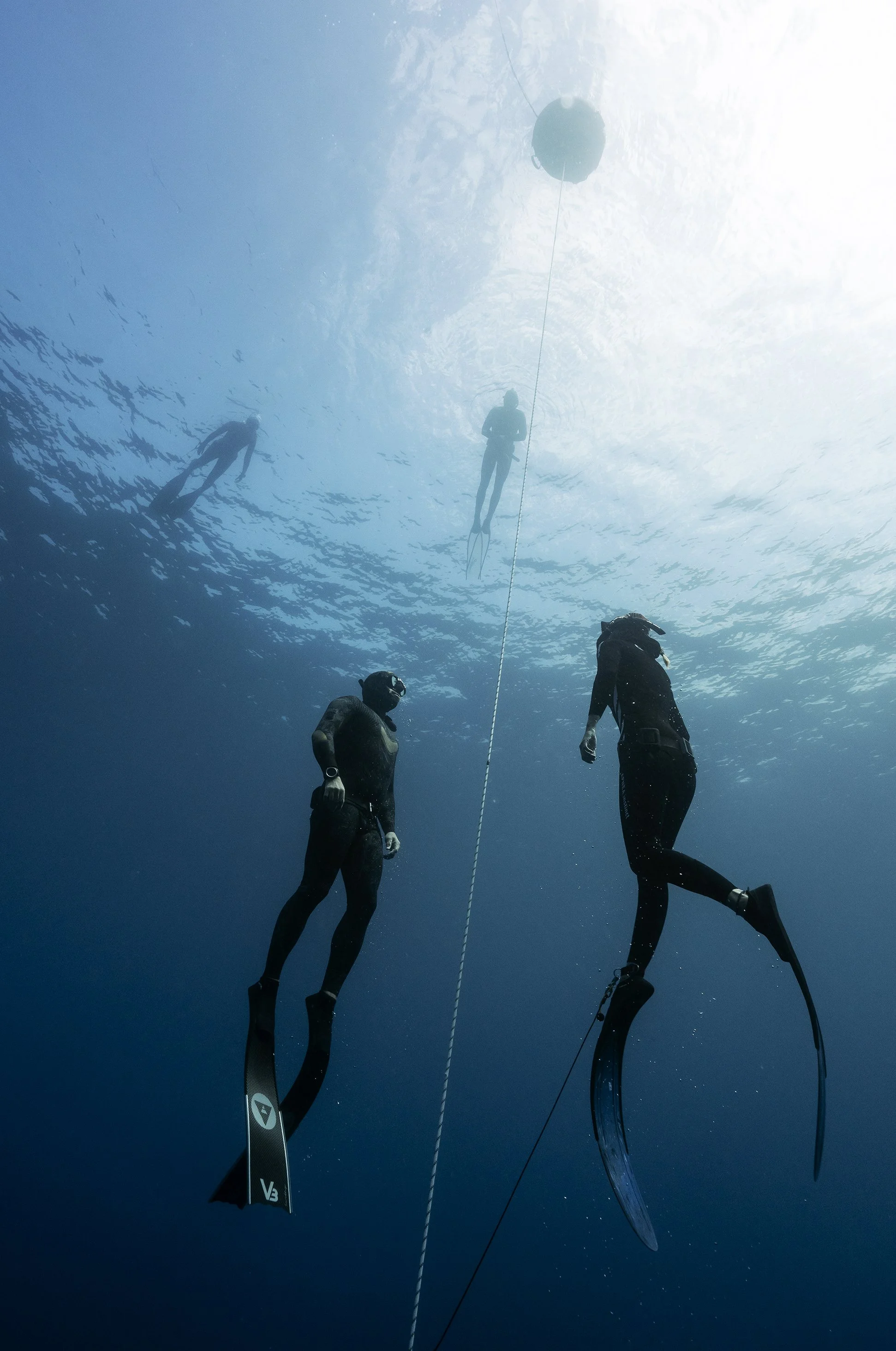 Underwater scene with three scuba divers, a buoy, and a submerged rope, viewed from below the water surface.