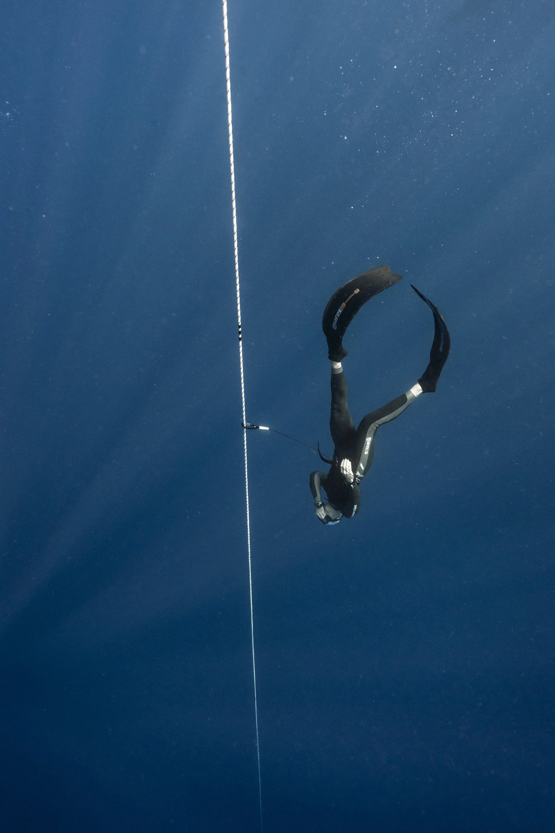 A scuba diver underwater holding a speargun, with a line extending upwards.
