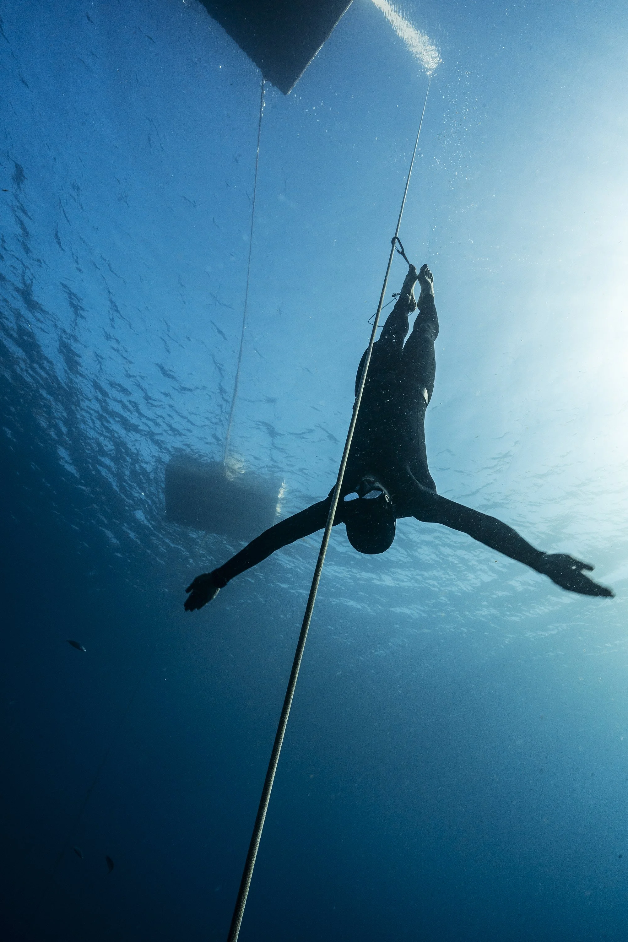 A person in black wetsuit swimming underwater, holding onto a rope or line, with the boat's underside visible above and small fish swimming nearby.