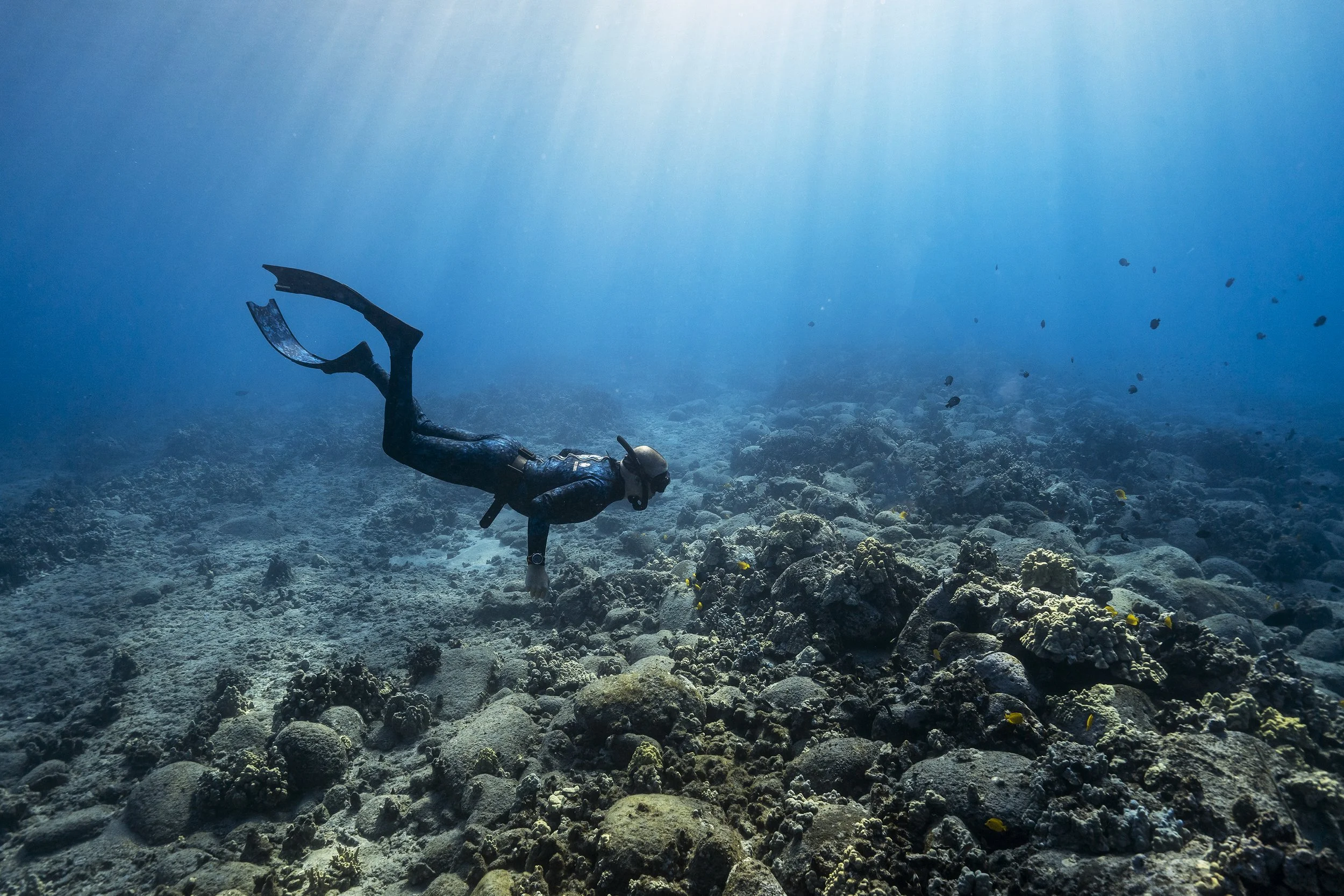 A scuba diver swimming above a coral reef underwater.
