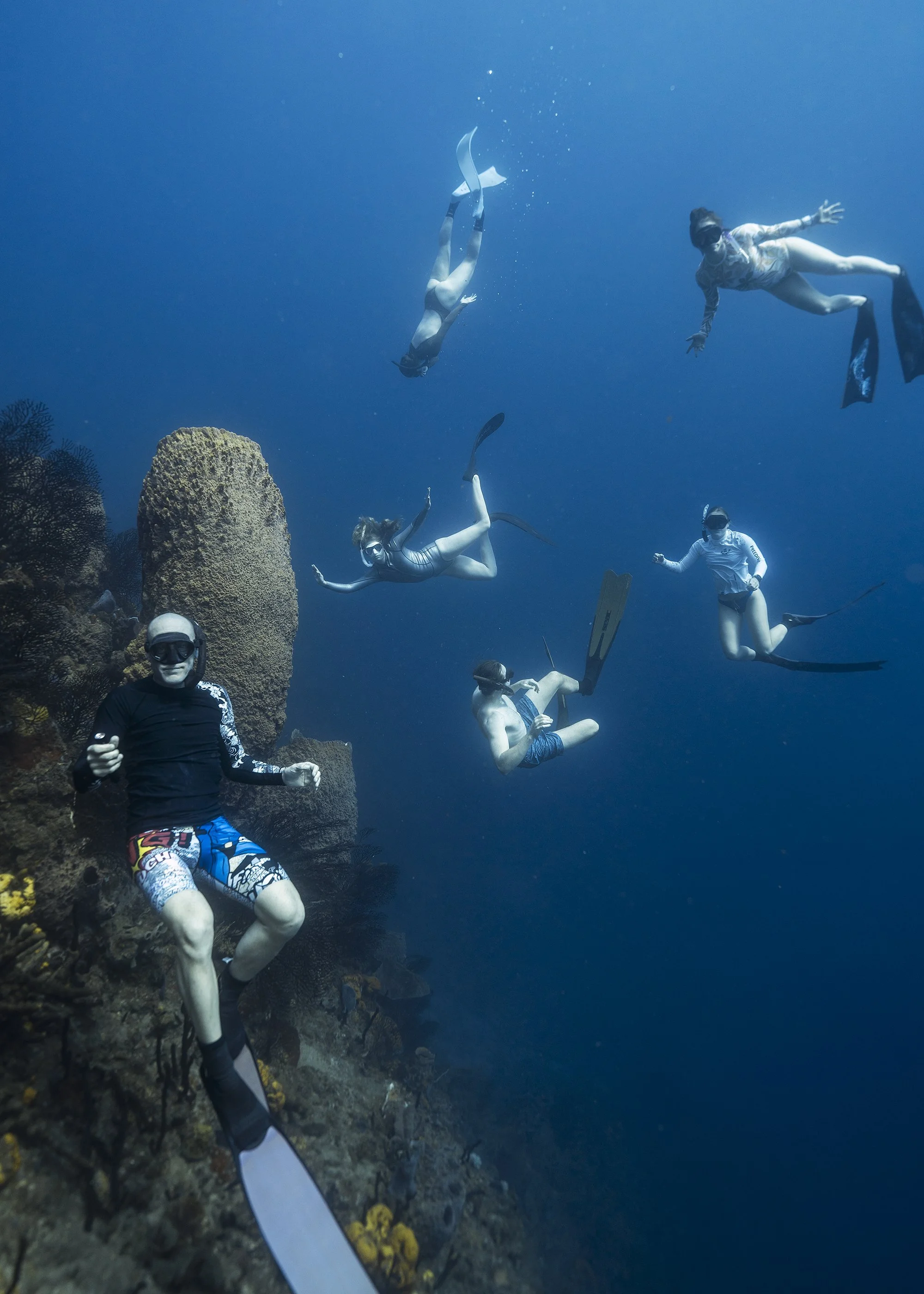 Group of people snorkeling underwater, some wearing masks and fins, near coral and rocks.